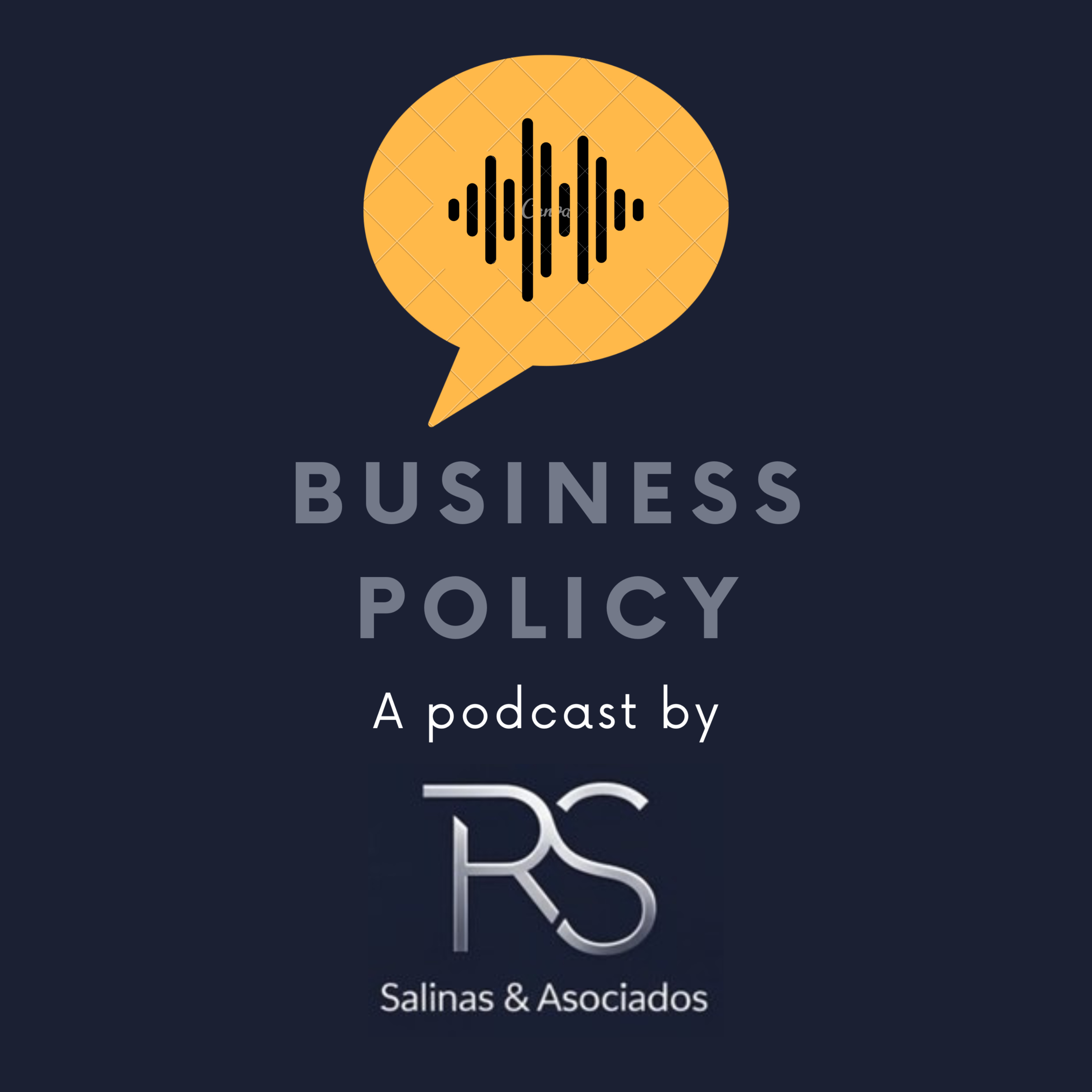 Business Policy cover