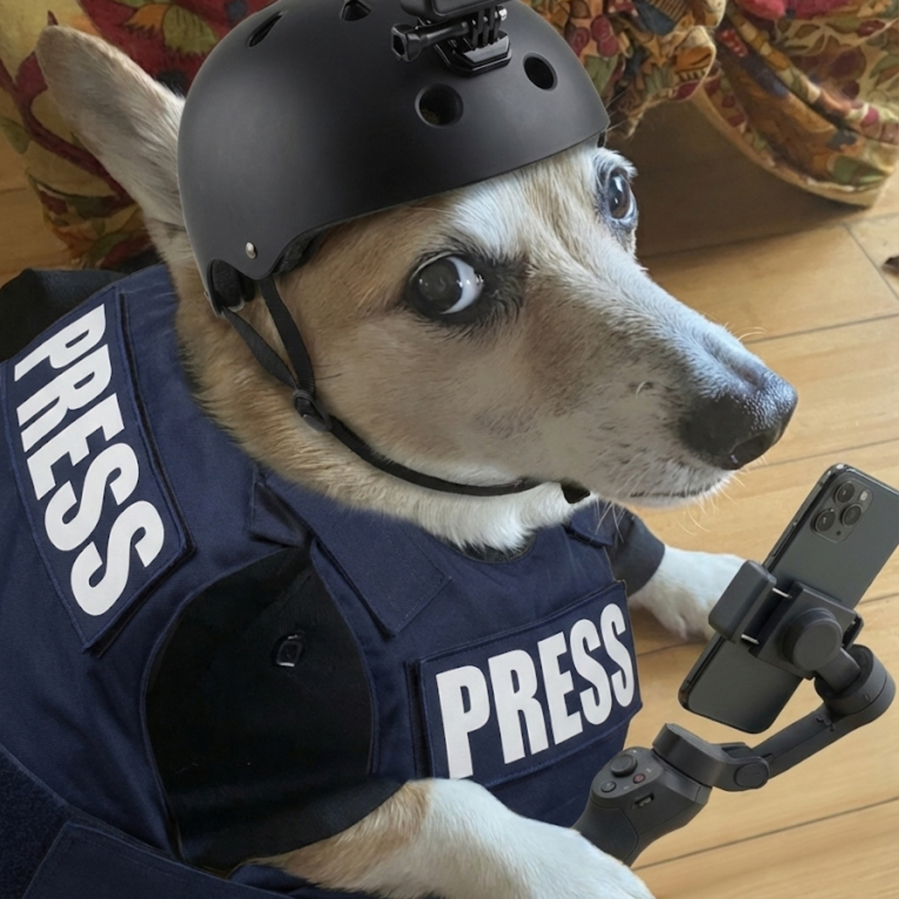 MARGO’S OUTLAW BARKER PODCAST cover art