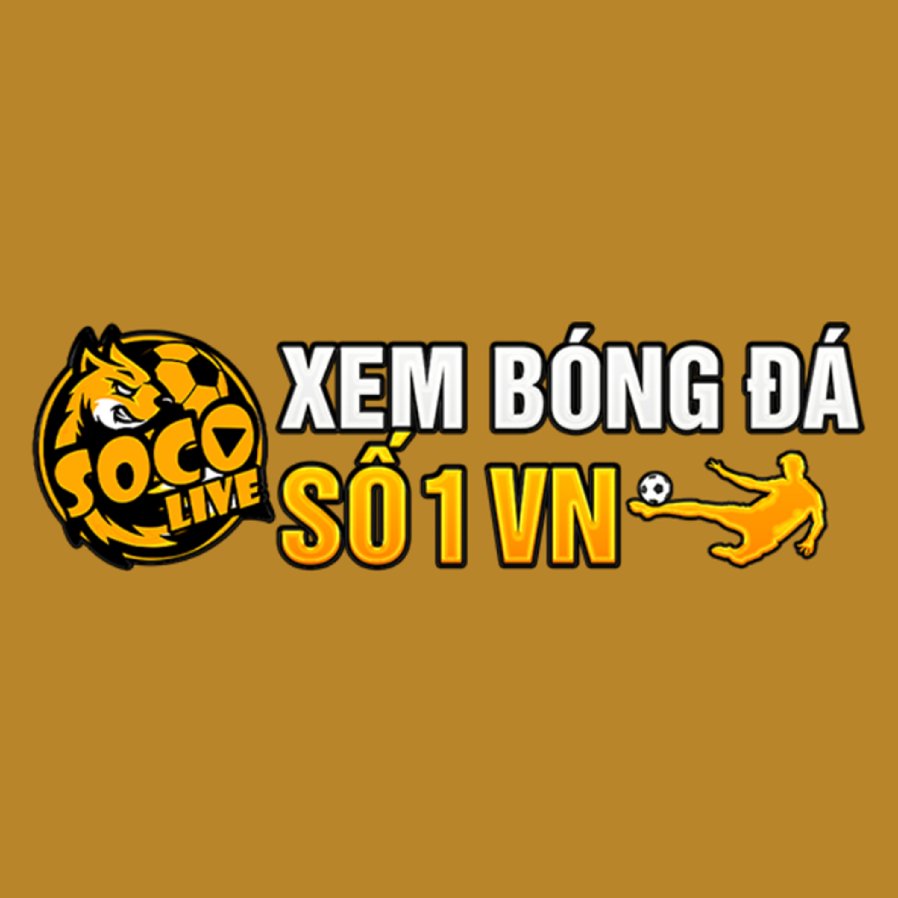 socolivetv10 cover art