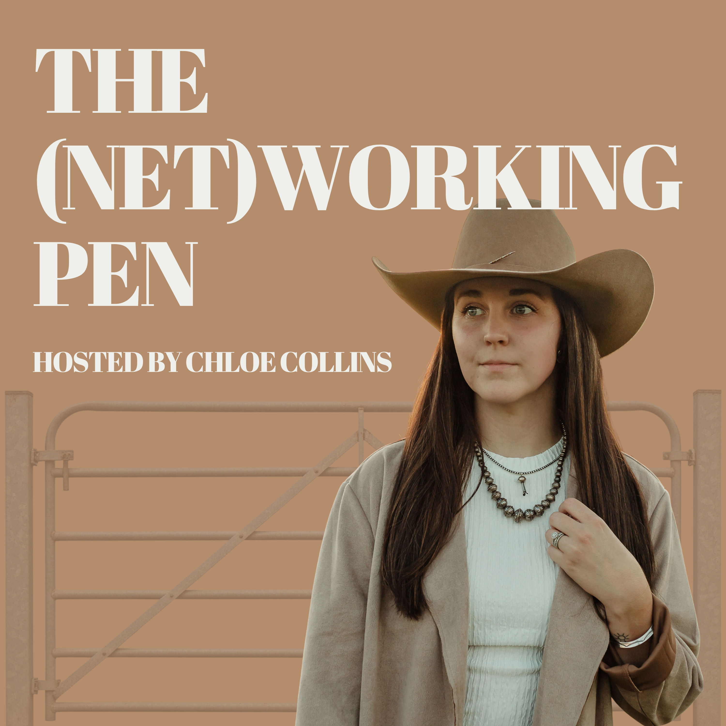 The (Net)Working Pen cover art