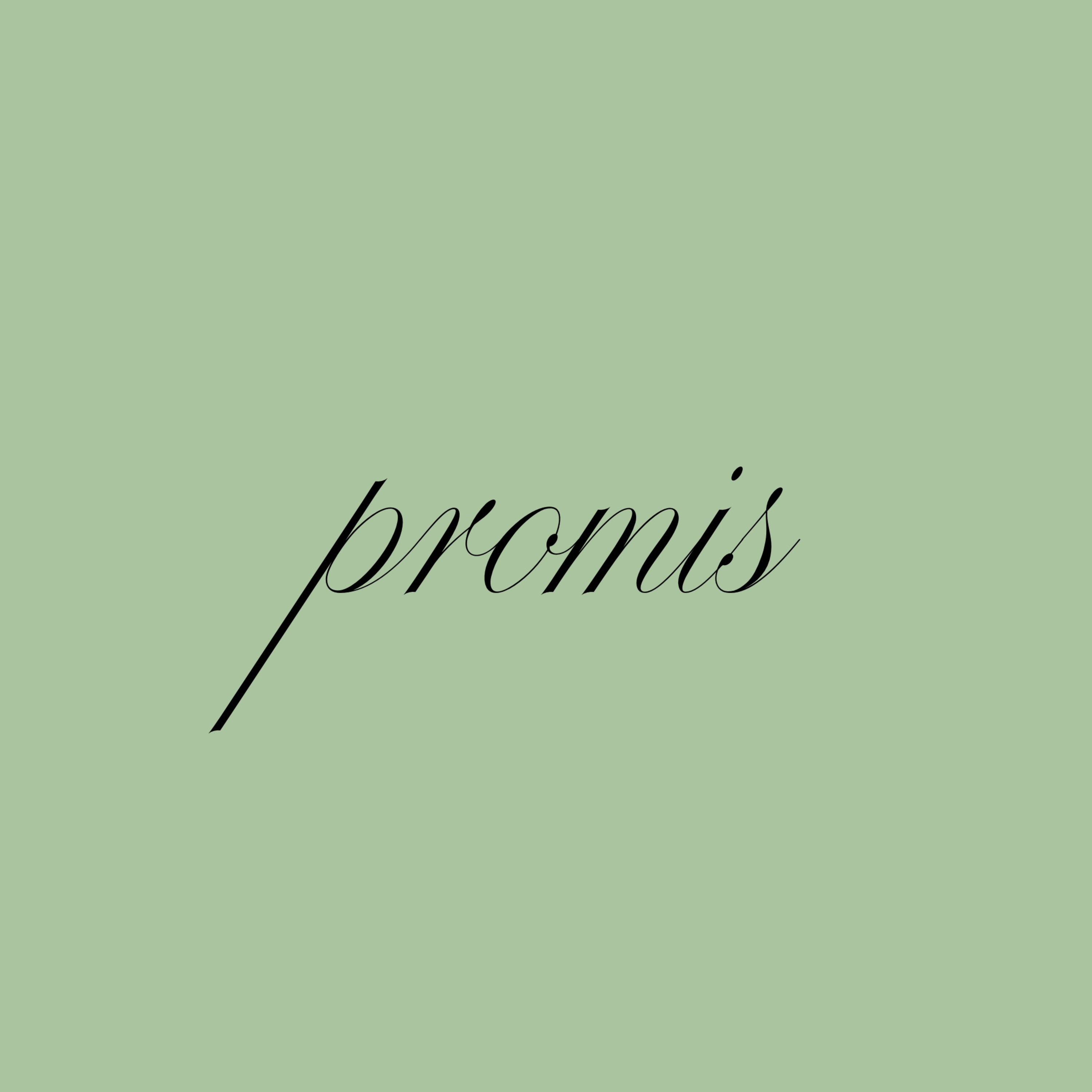 promis cover art