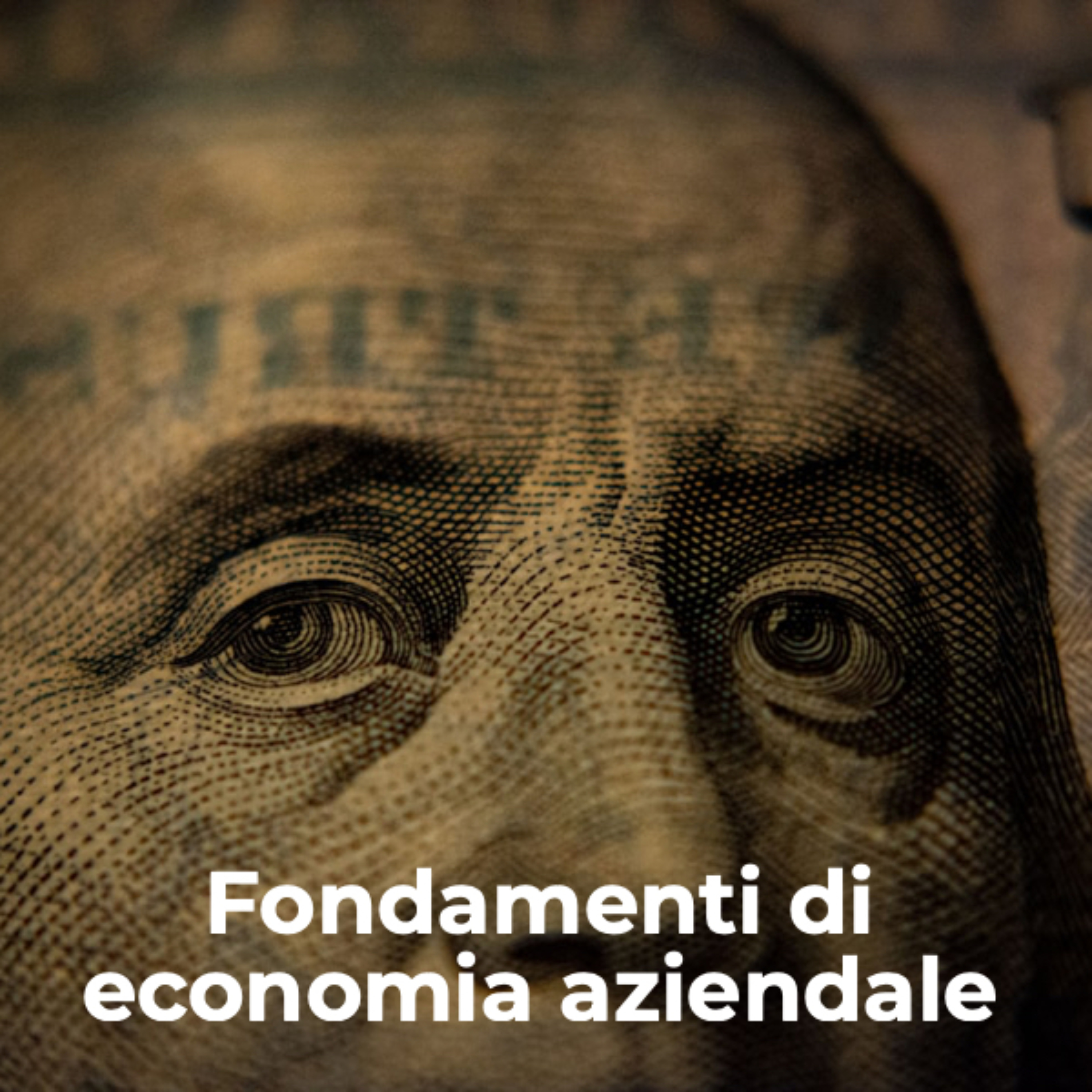 Fondamenti di Economia Aziendale cover art