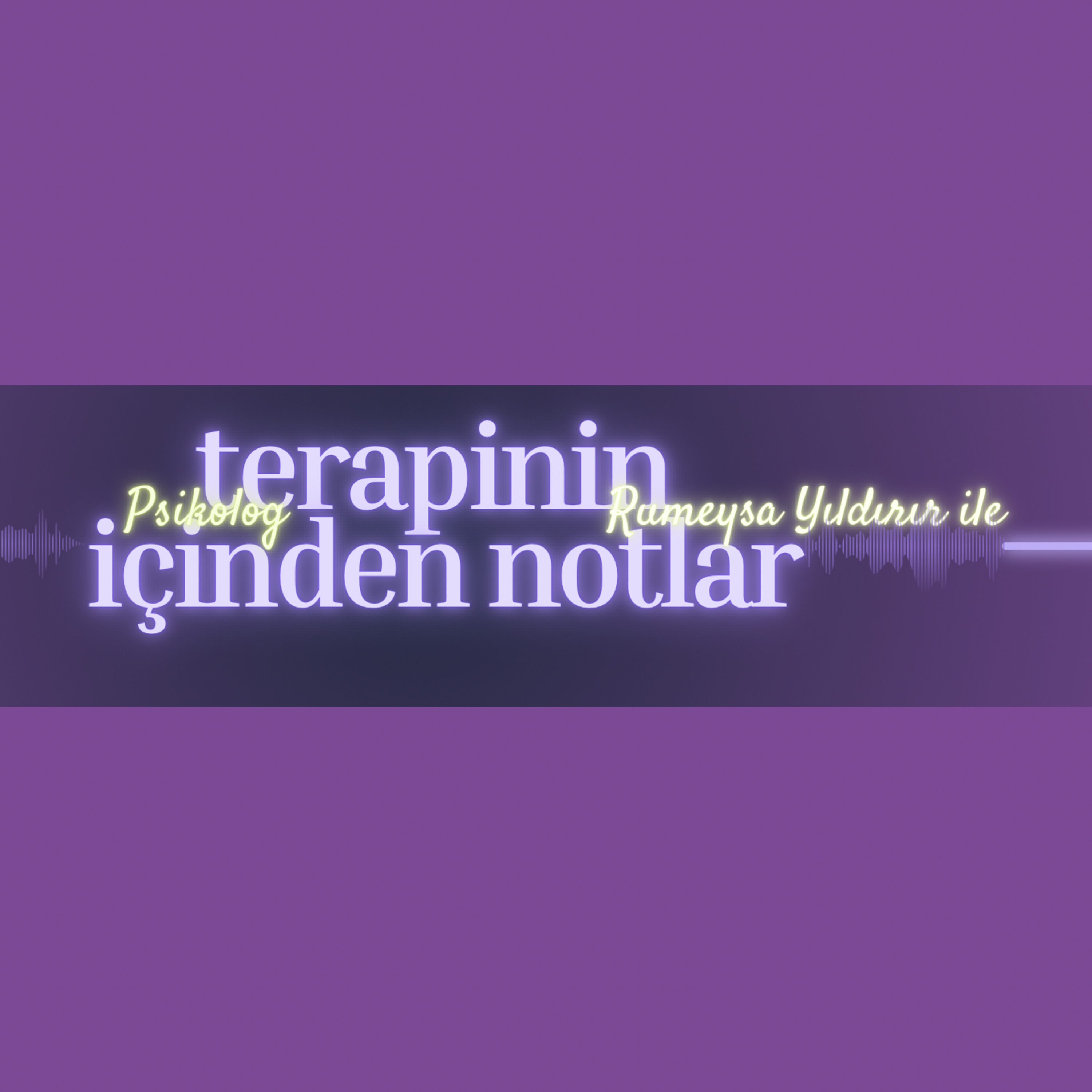 Terapinin İçinden Notlar cover art