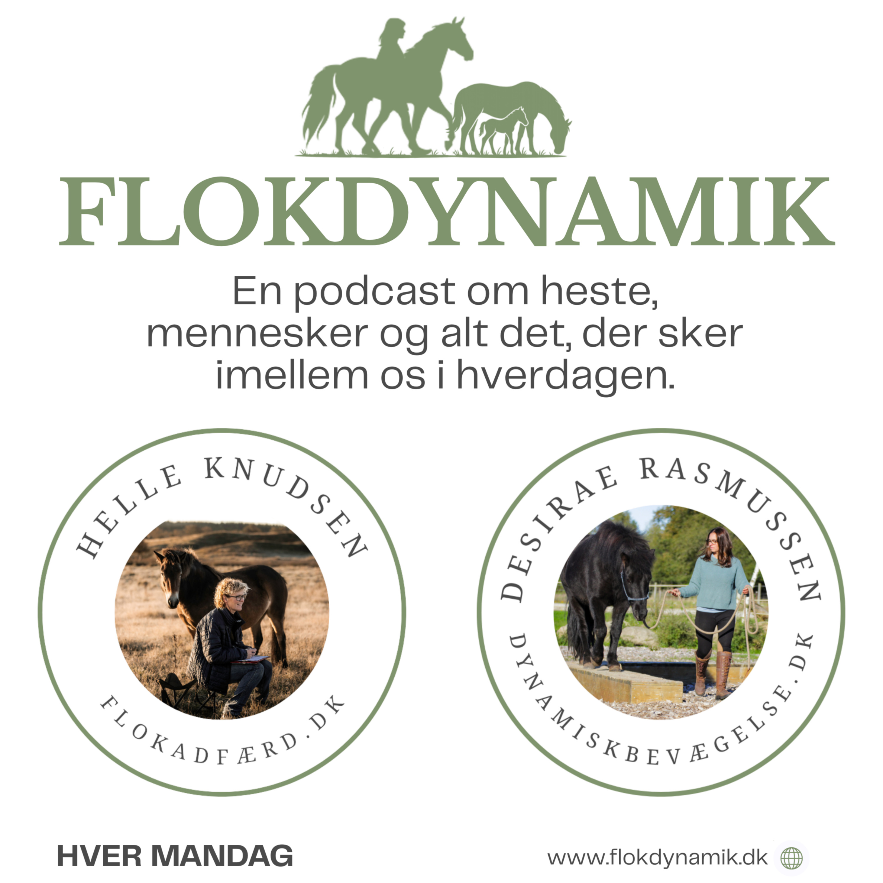 Flokdynamik