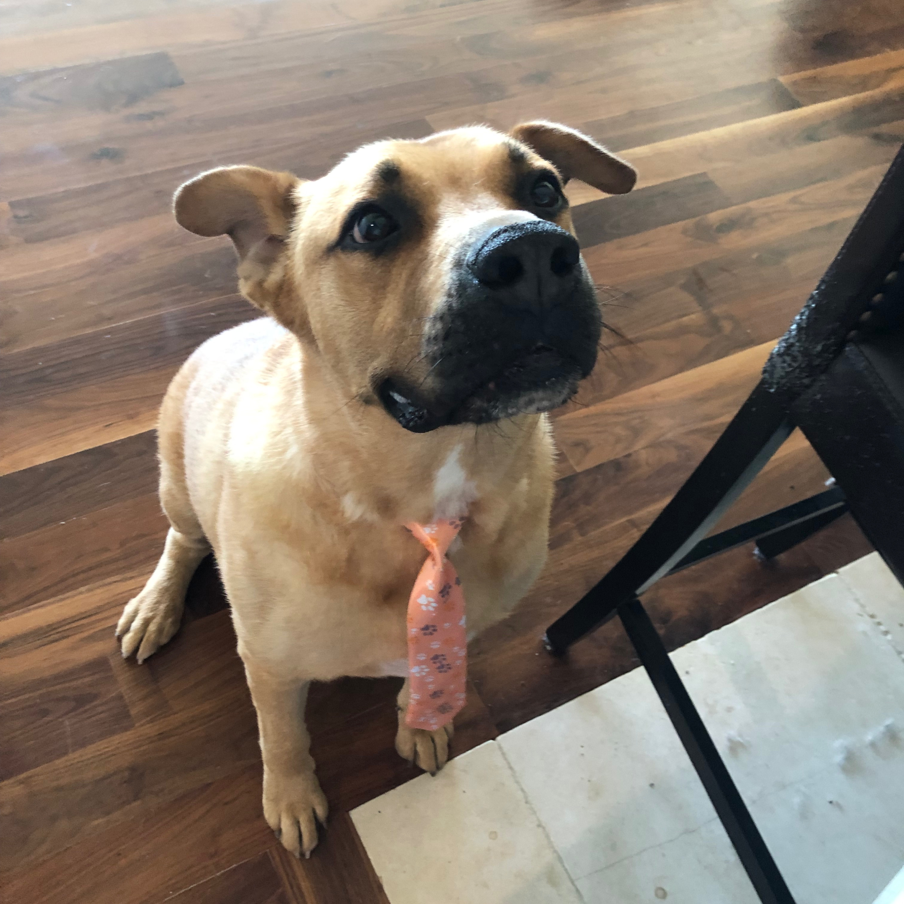 The Cooper James podcast cover art