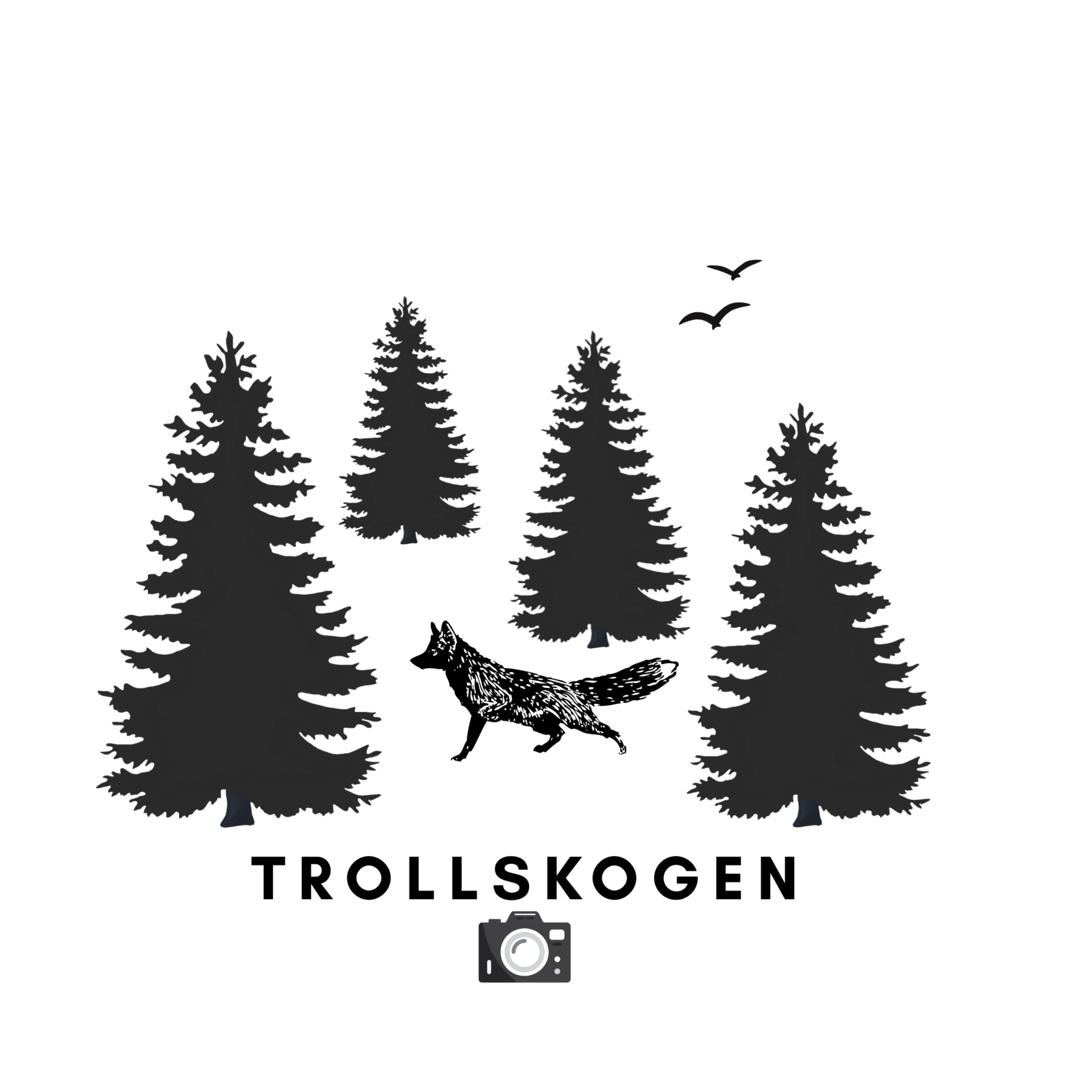Trollskogen cover art