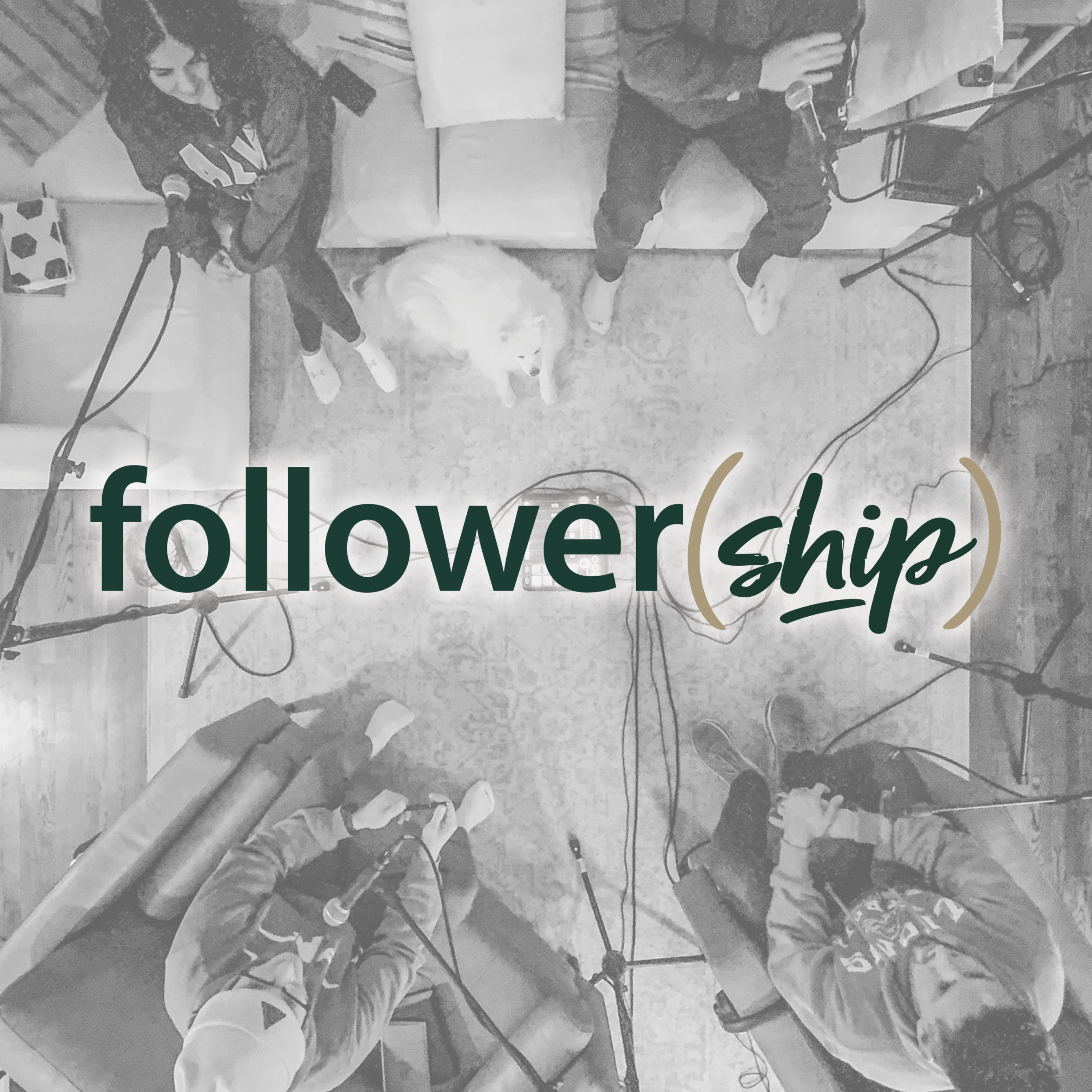 follower(ship) cover art
