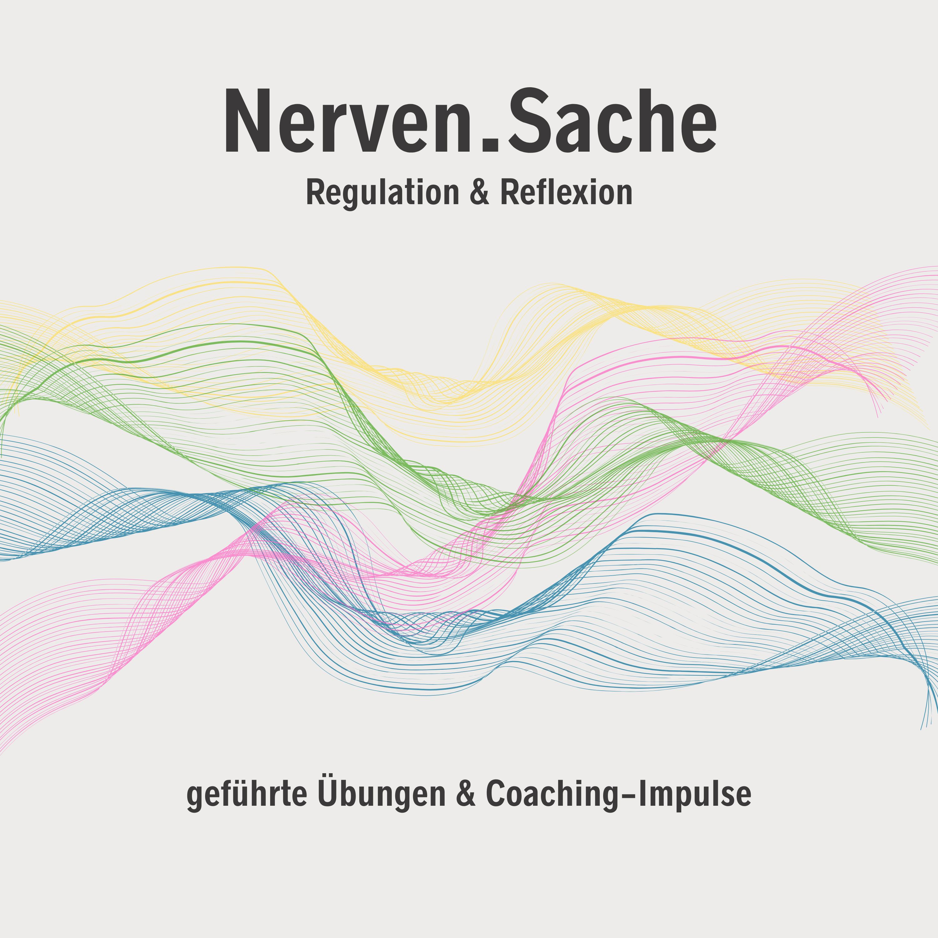 Nerven.Sache - Regulation & Reflexion cover art