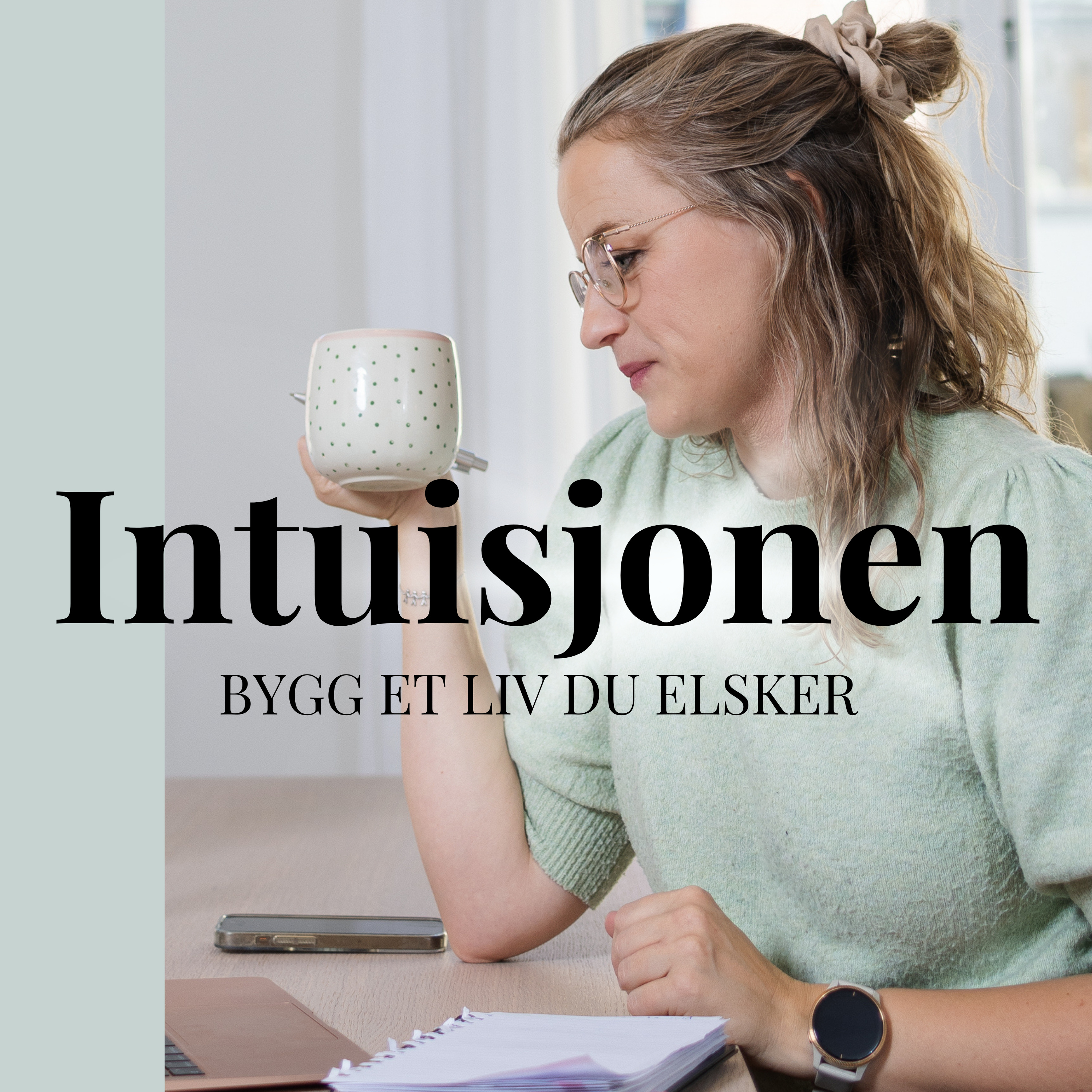 Intuisjonen