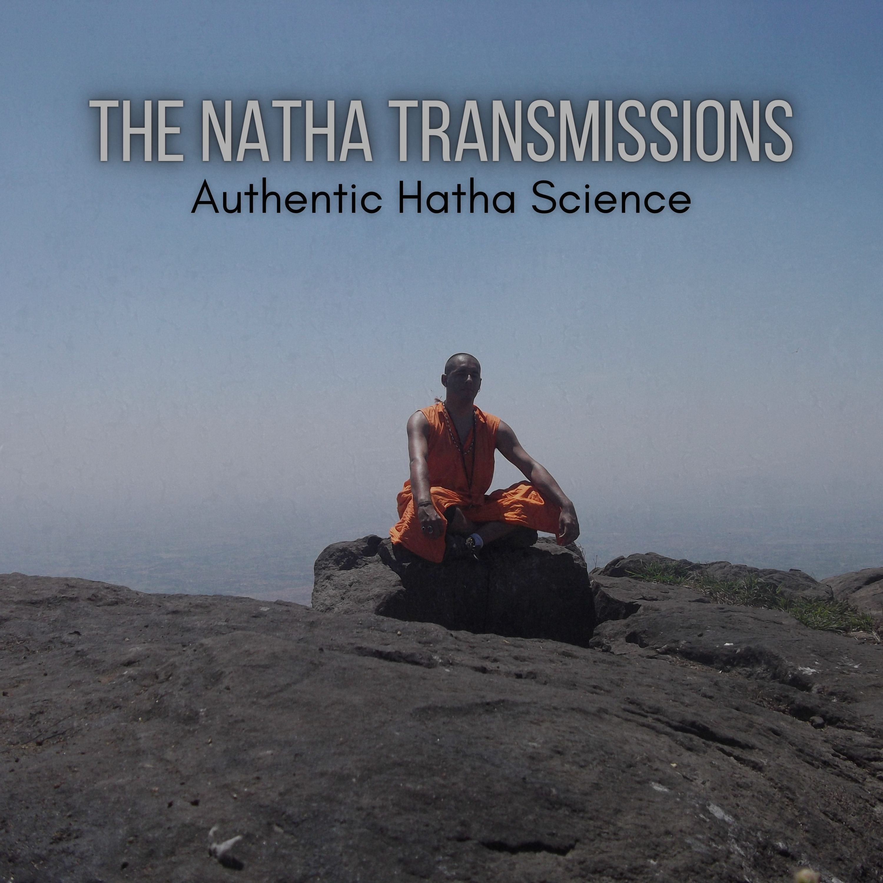 The Natha Transmissions - Authentic Hatha Science cover art