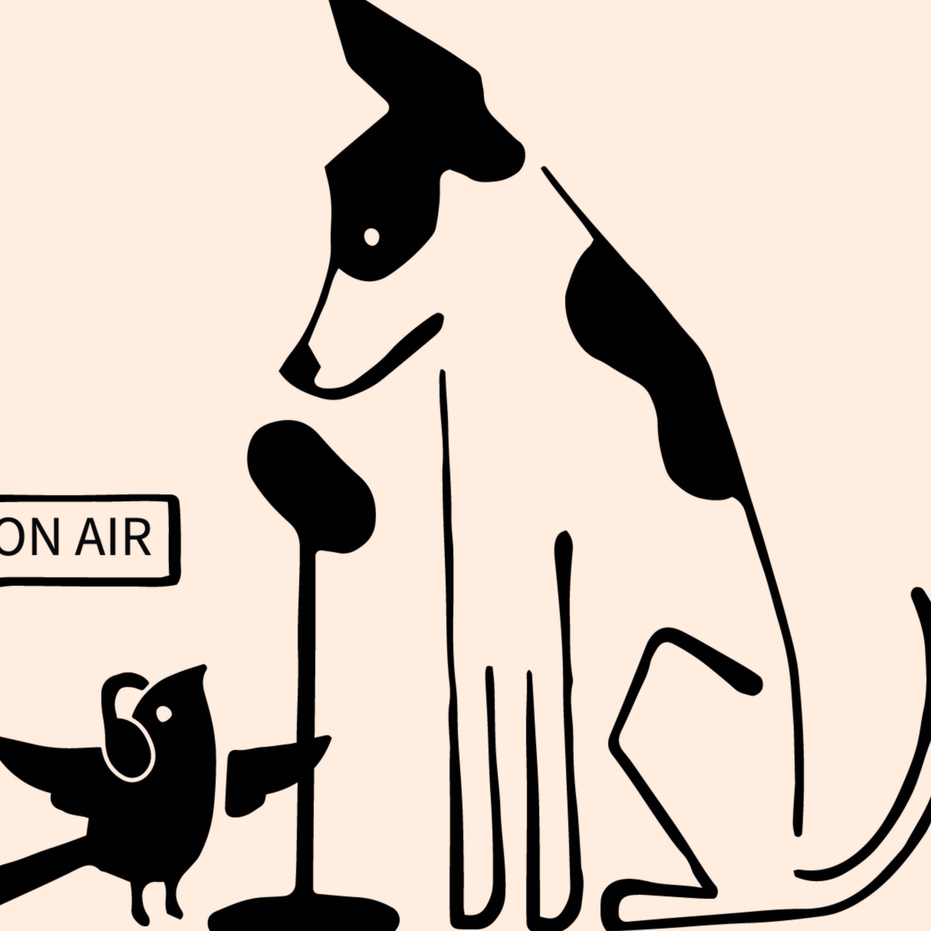 The Little Birdie Podcast cover art