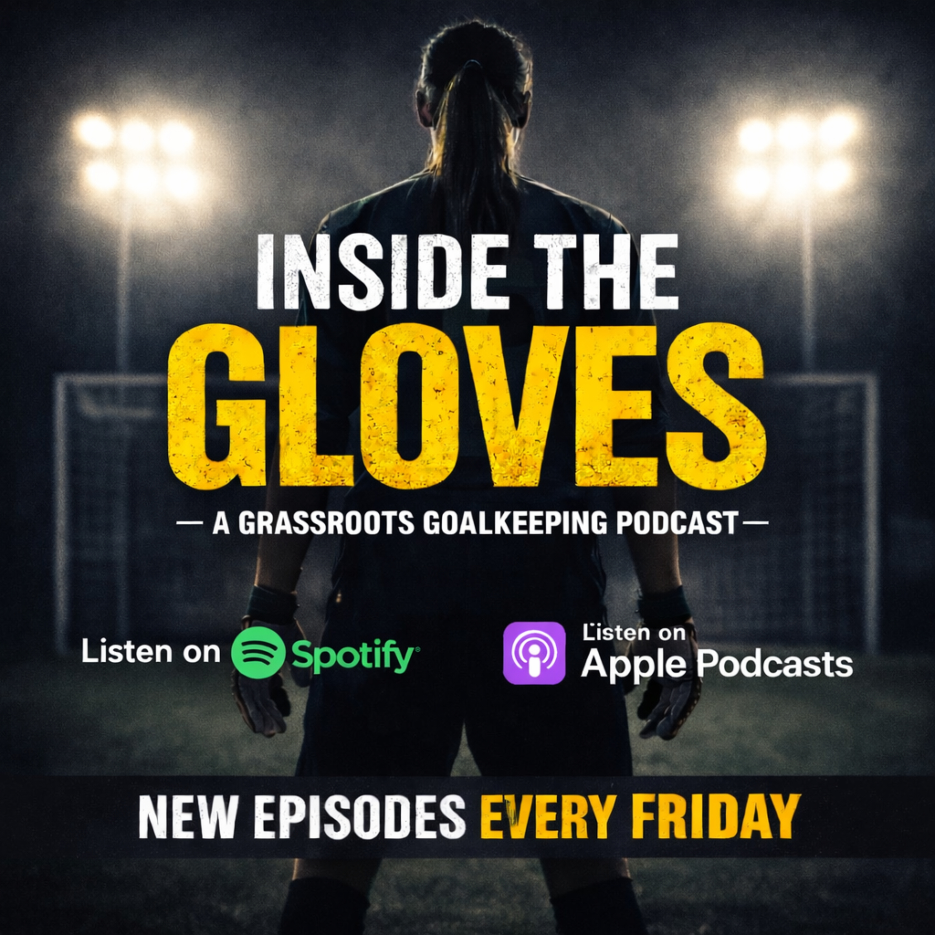 Inside The Gloves cover art