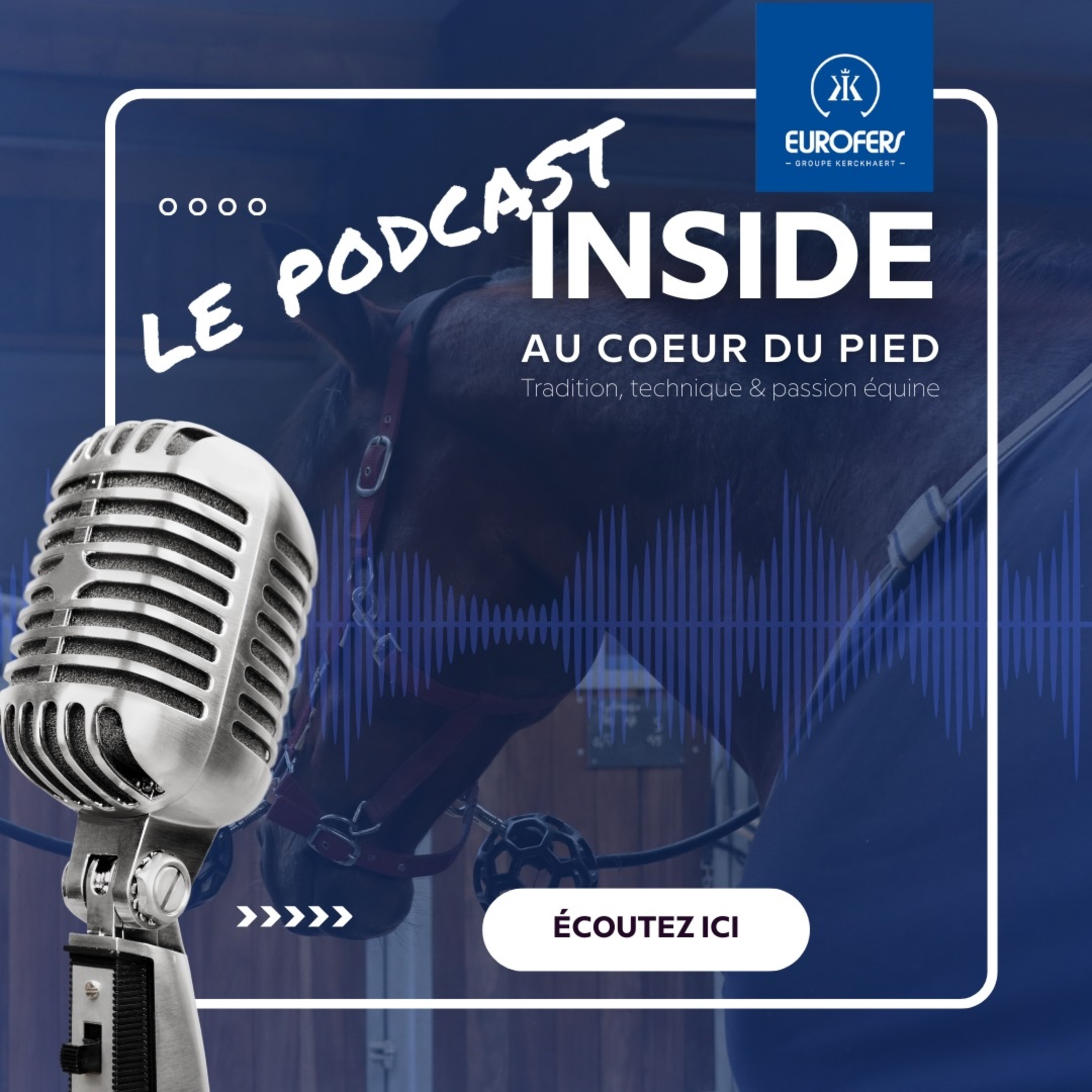 Illustration du podcast Inside Eurofers - Au cœur du pied