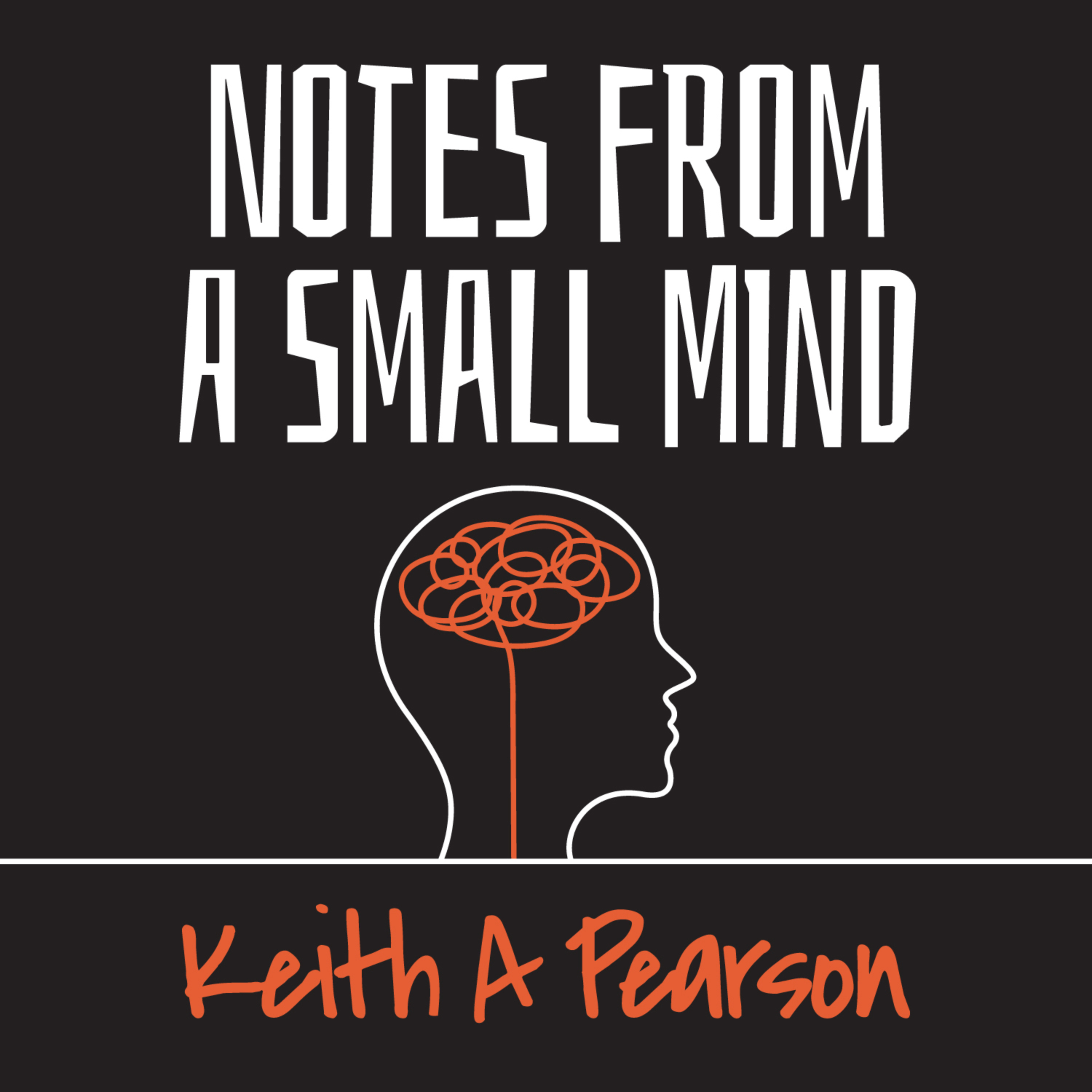 Notes From a Small Mind cover art
