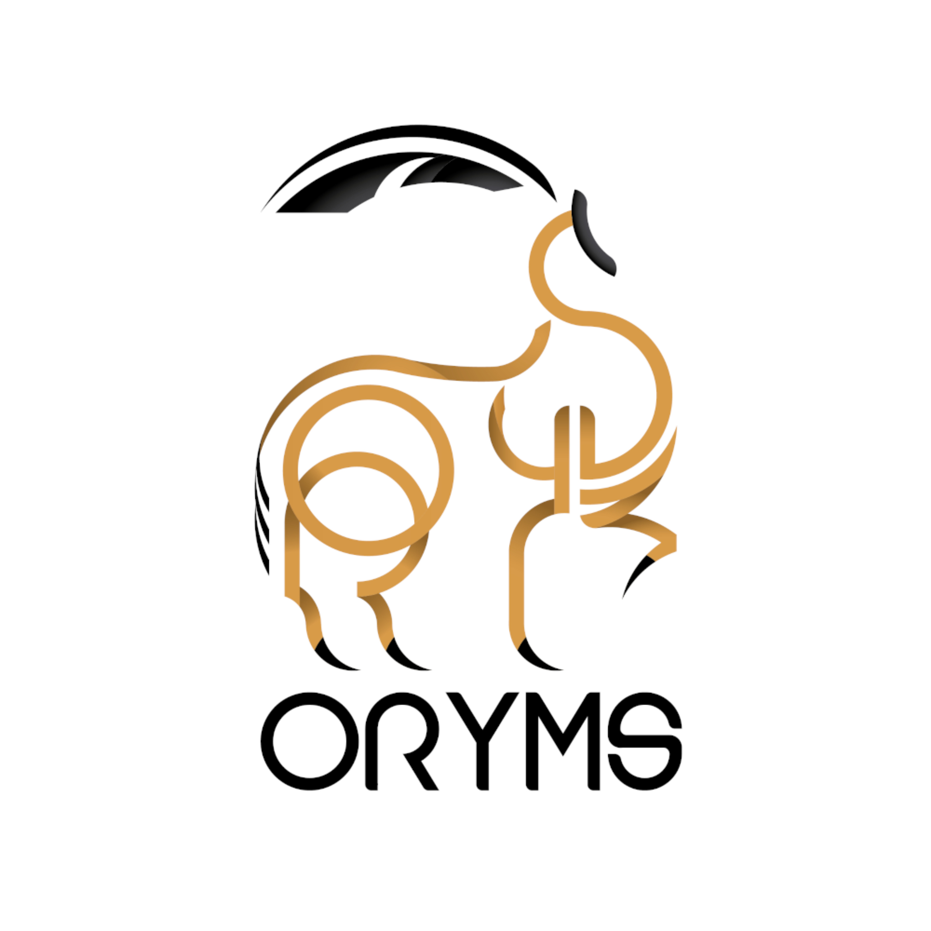 Histoire de Saladin - Tome 1 - Lyess Chacal - Oryms cover art