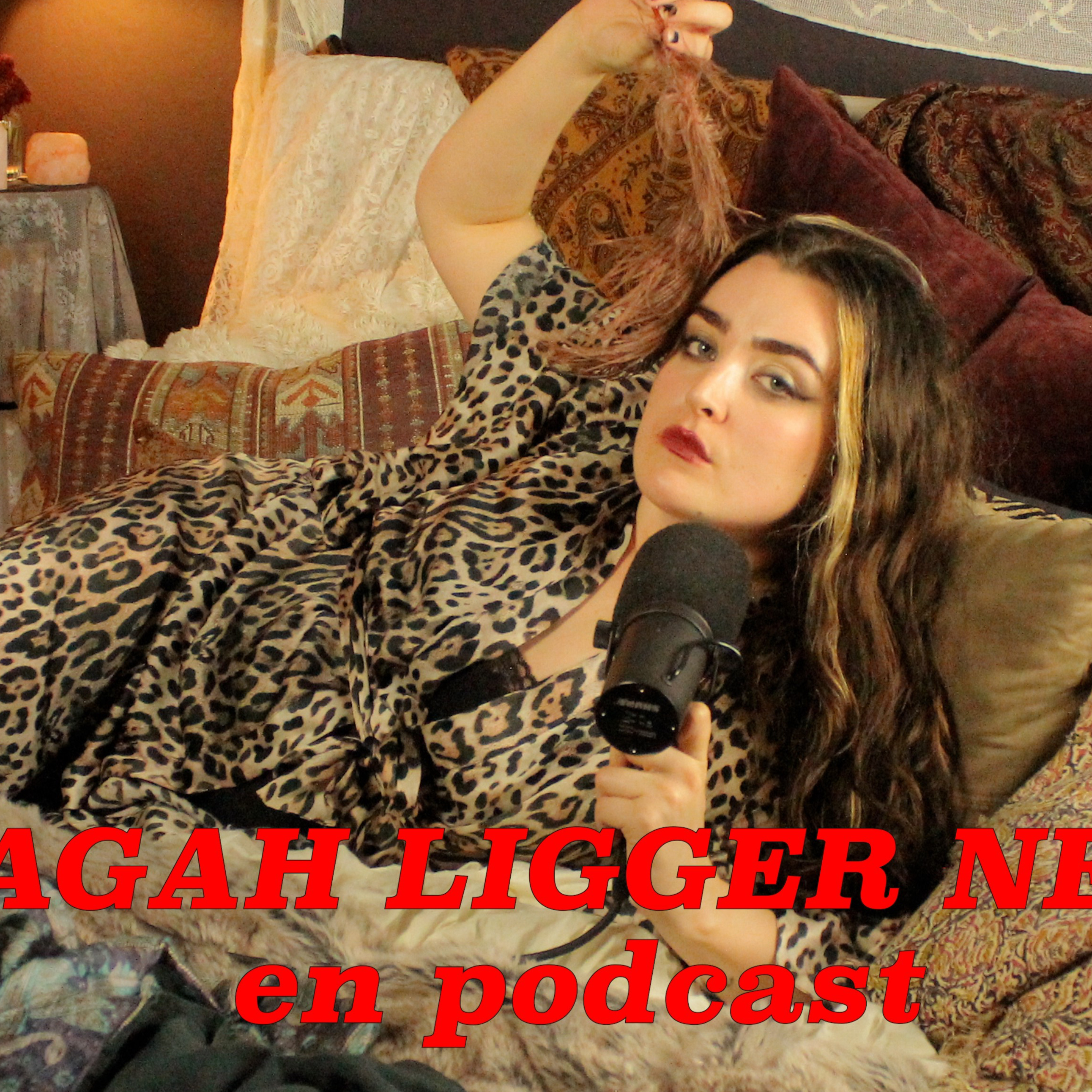 Sagah ligger ner cover art