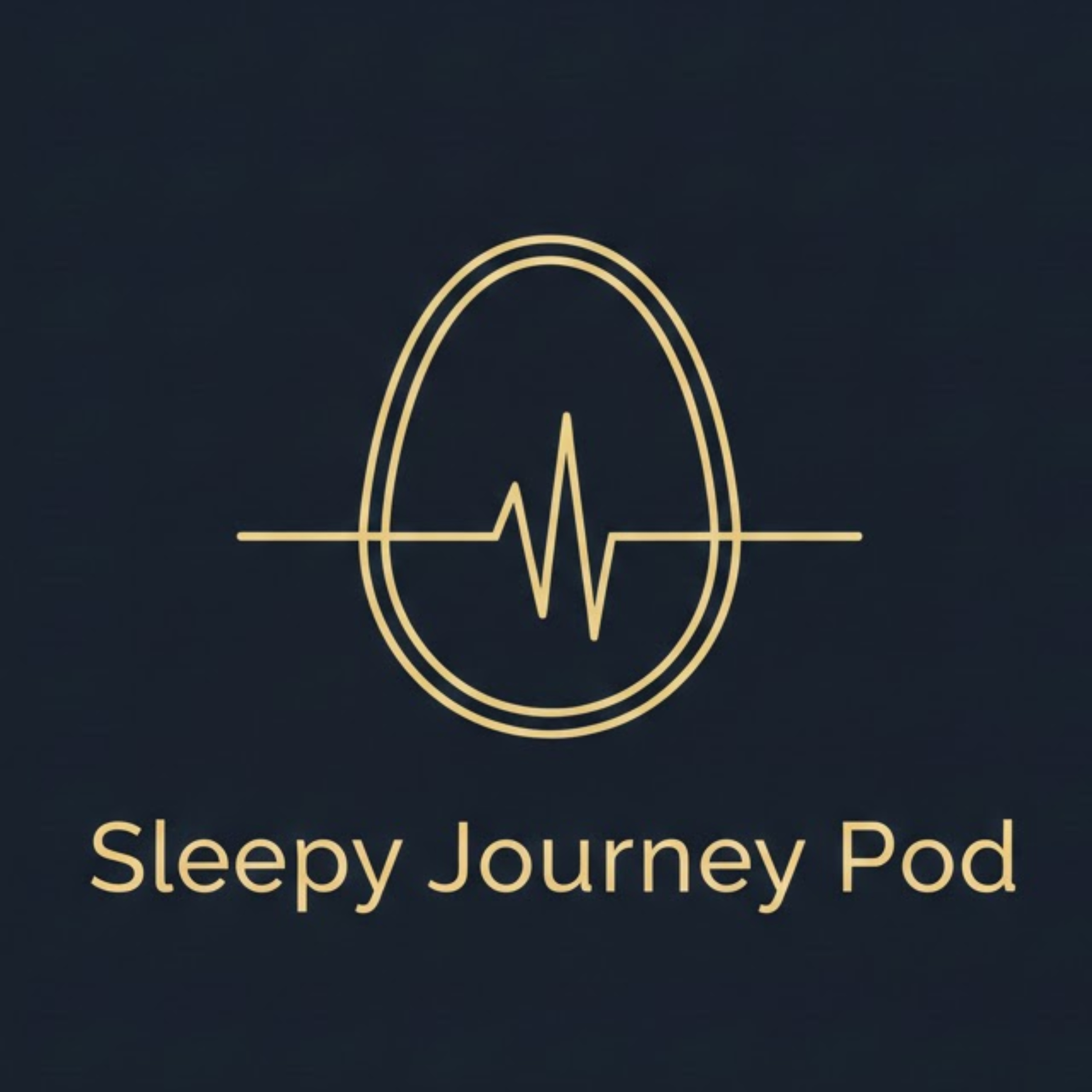 Sleepy Pod Journey