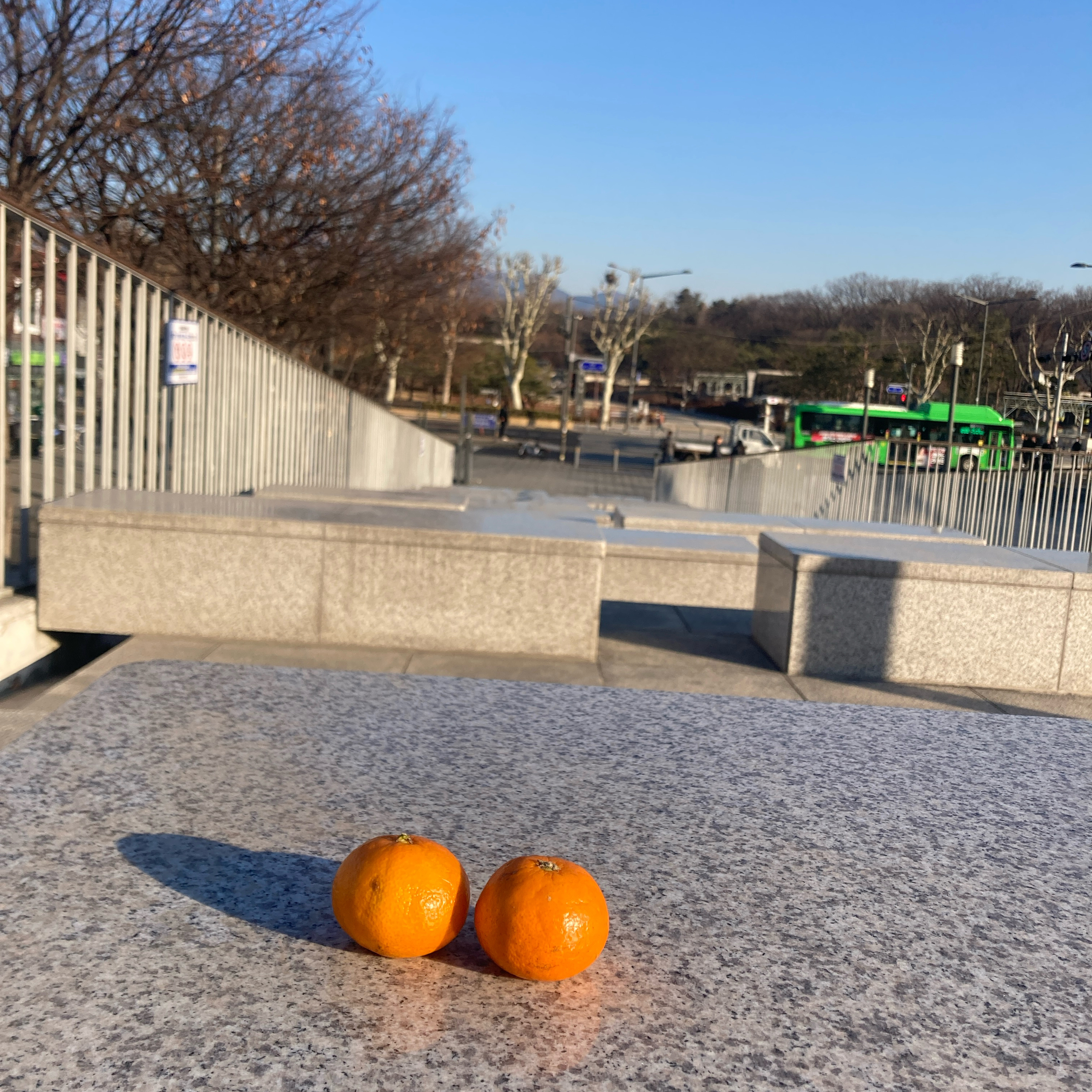 호락호락 운영일기 cover art