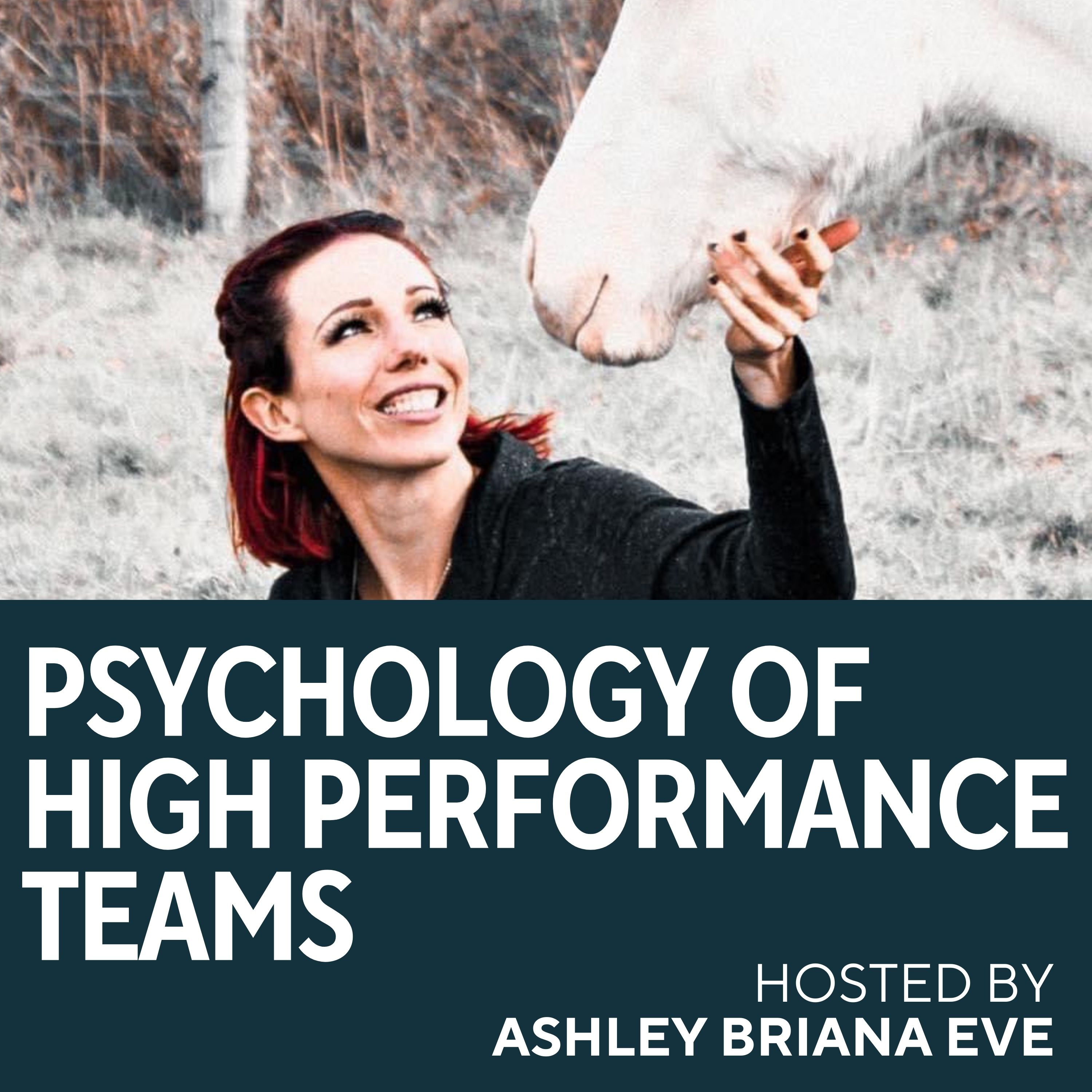 The Psychology of High Performance Teams Podcast cover art