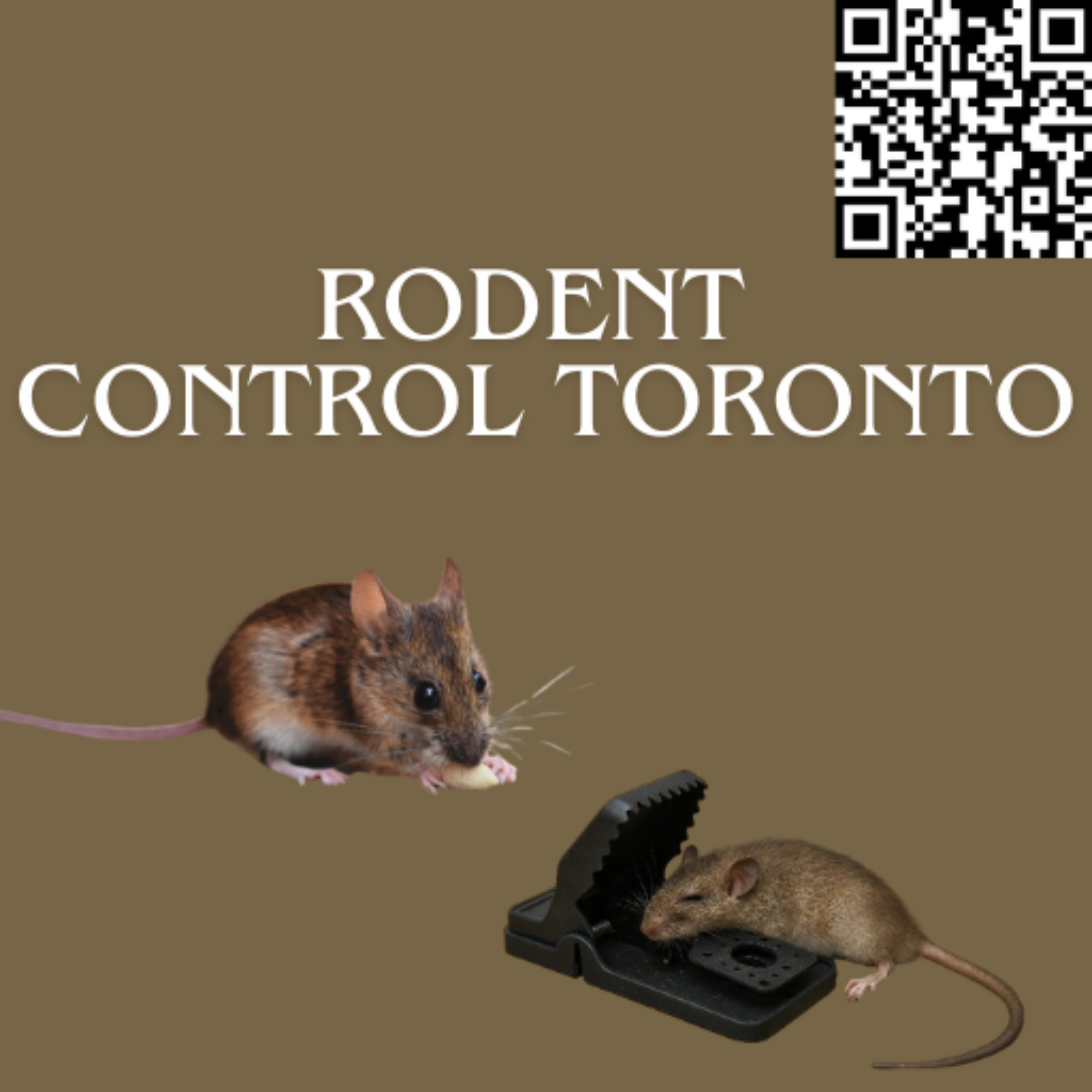 Safe and Effective Rodent Control Toronto cover art