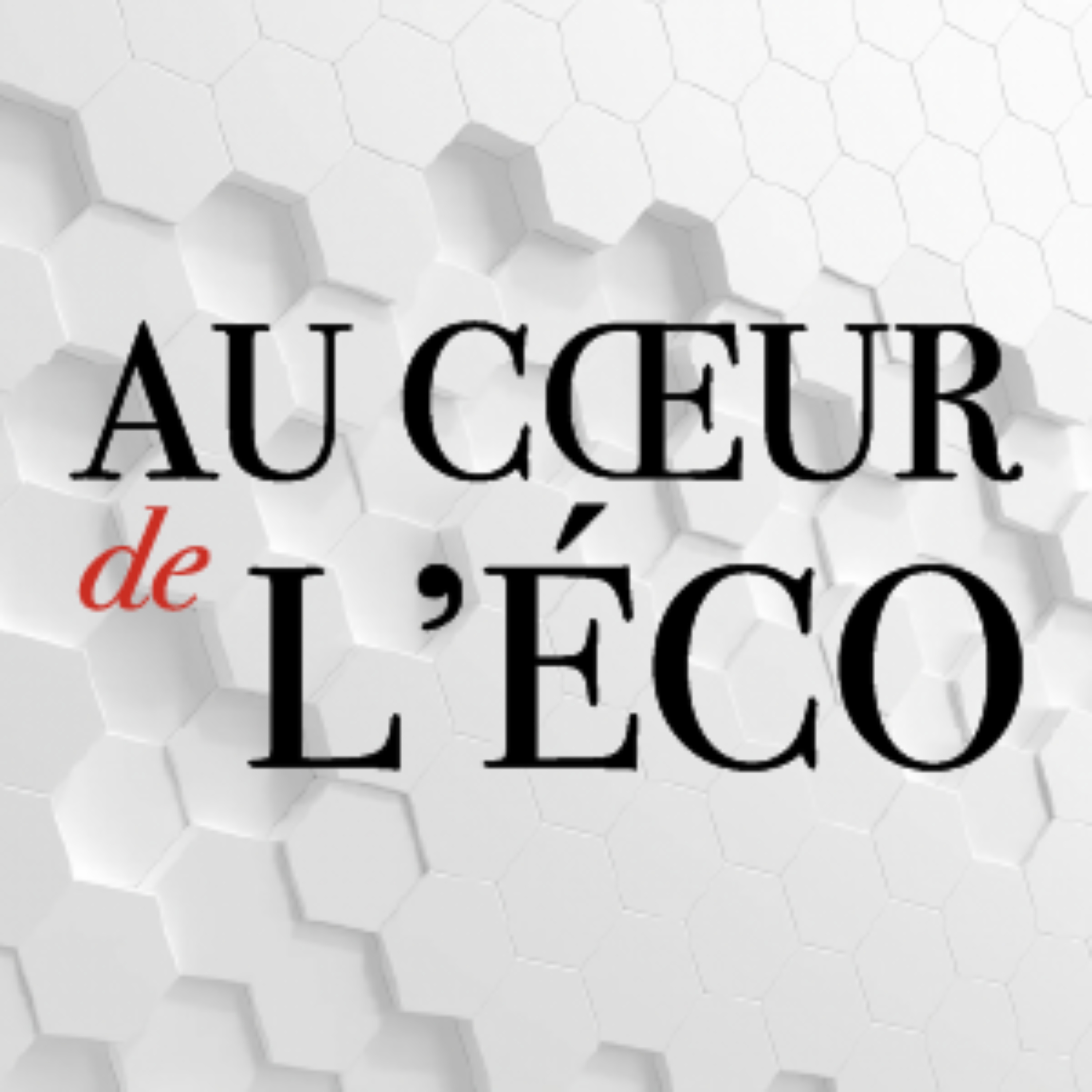 Au Cœur de l'Éco podcast artwork