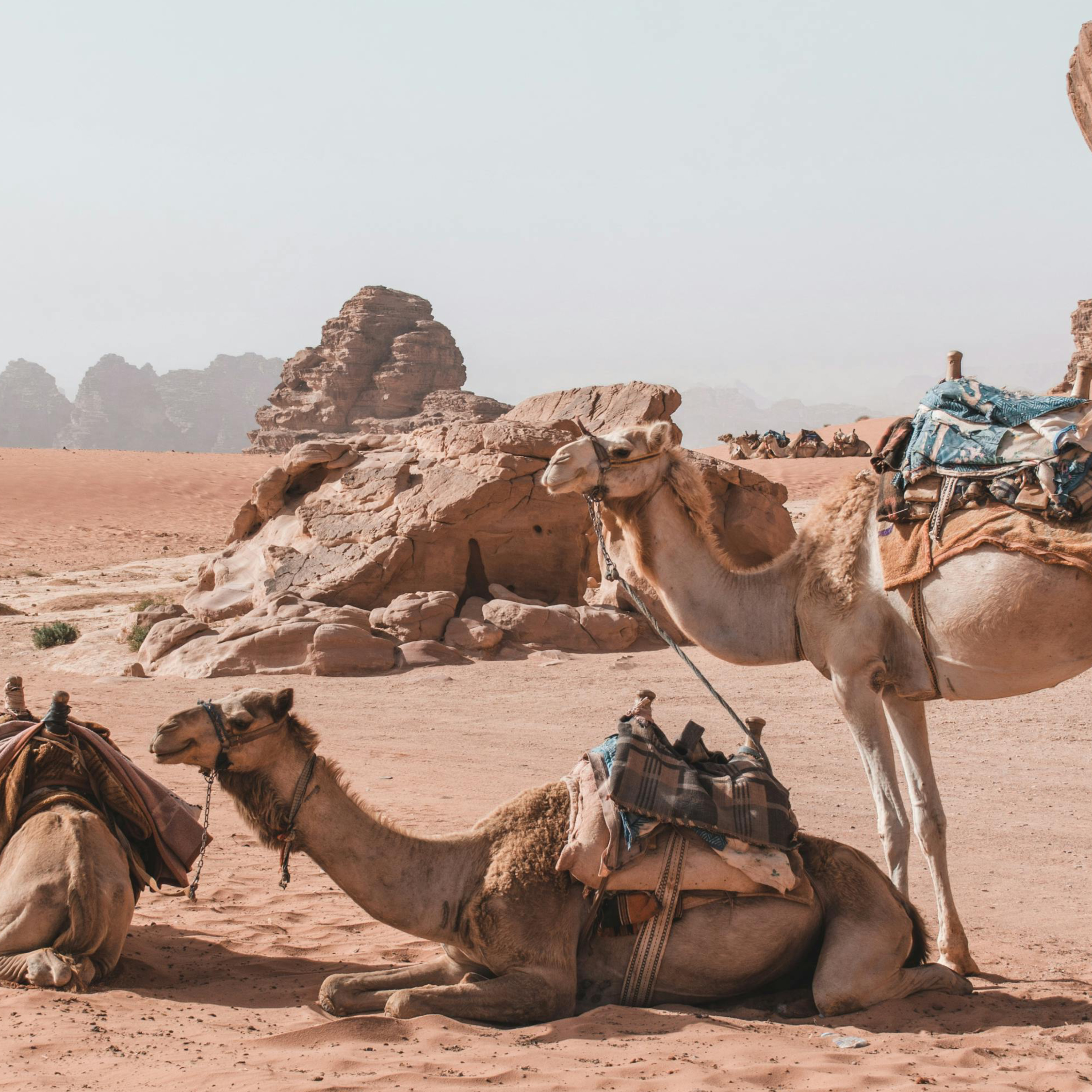 Ortadoğu’nun Siyasi Tarihi cover art