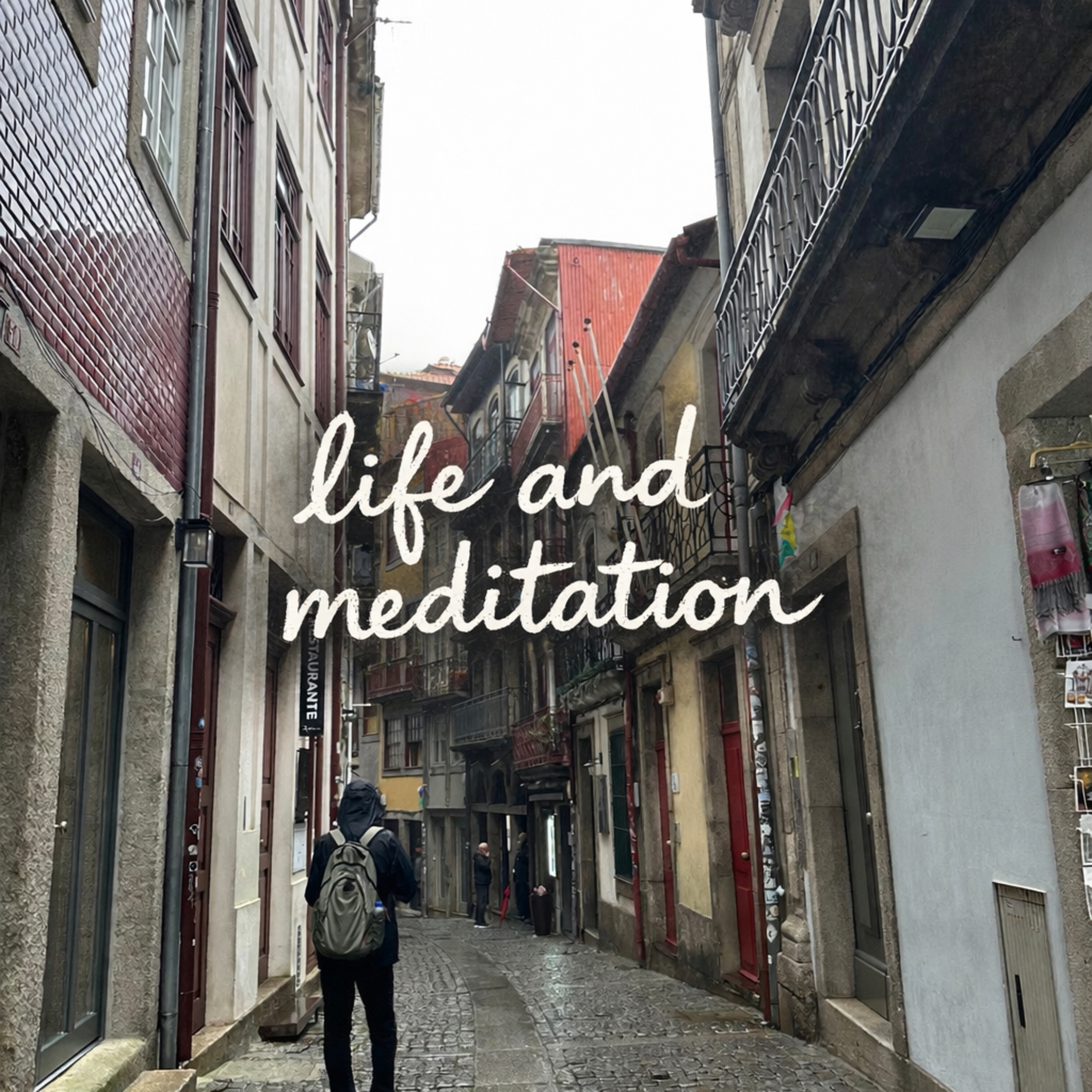 life and meditation cover art