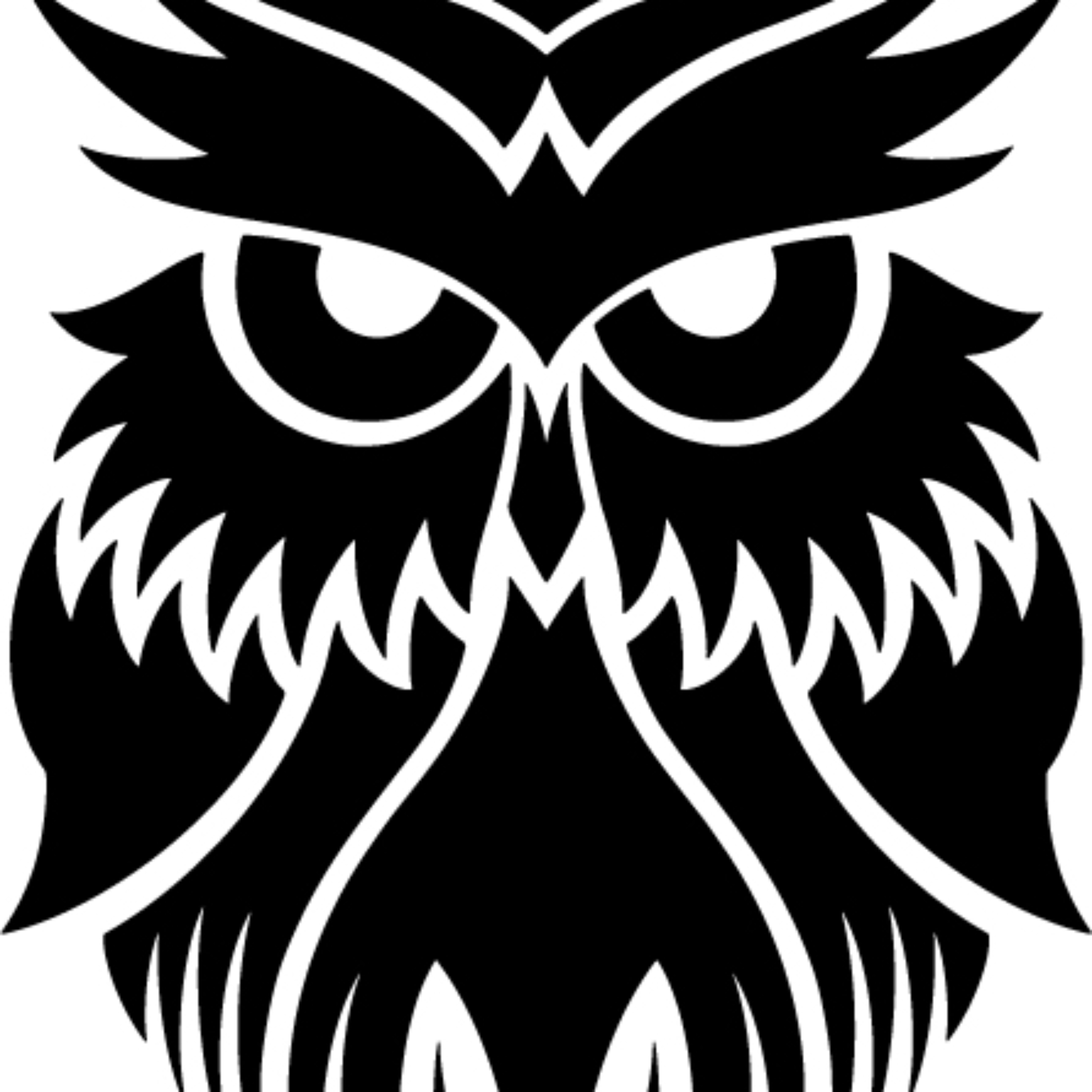 Photographers Voice cover art