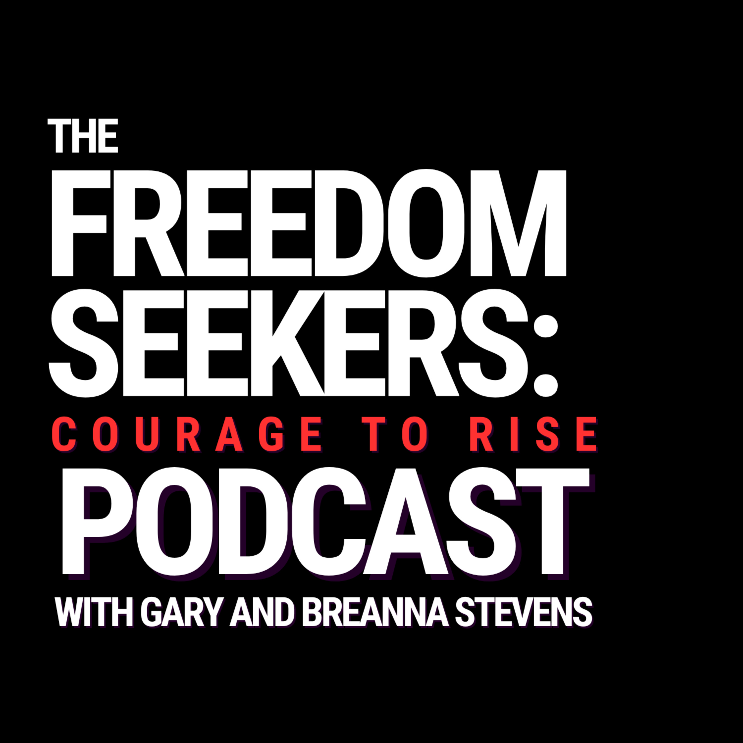 The Freedom Seekers: Courage to Rise cover art