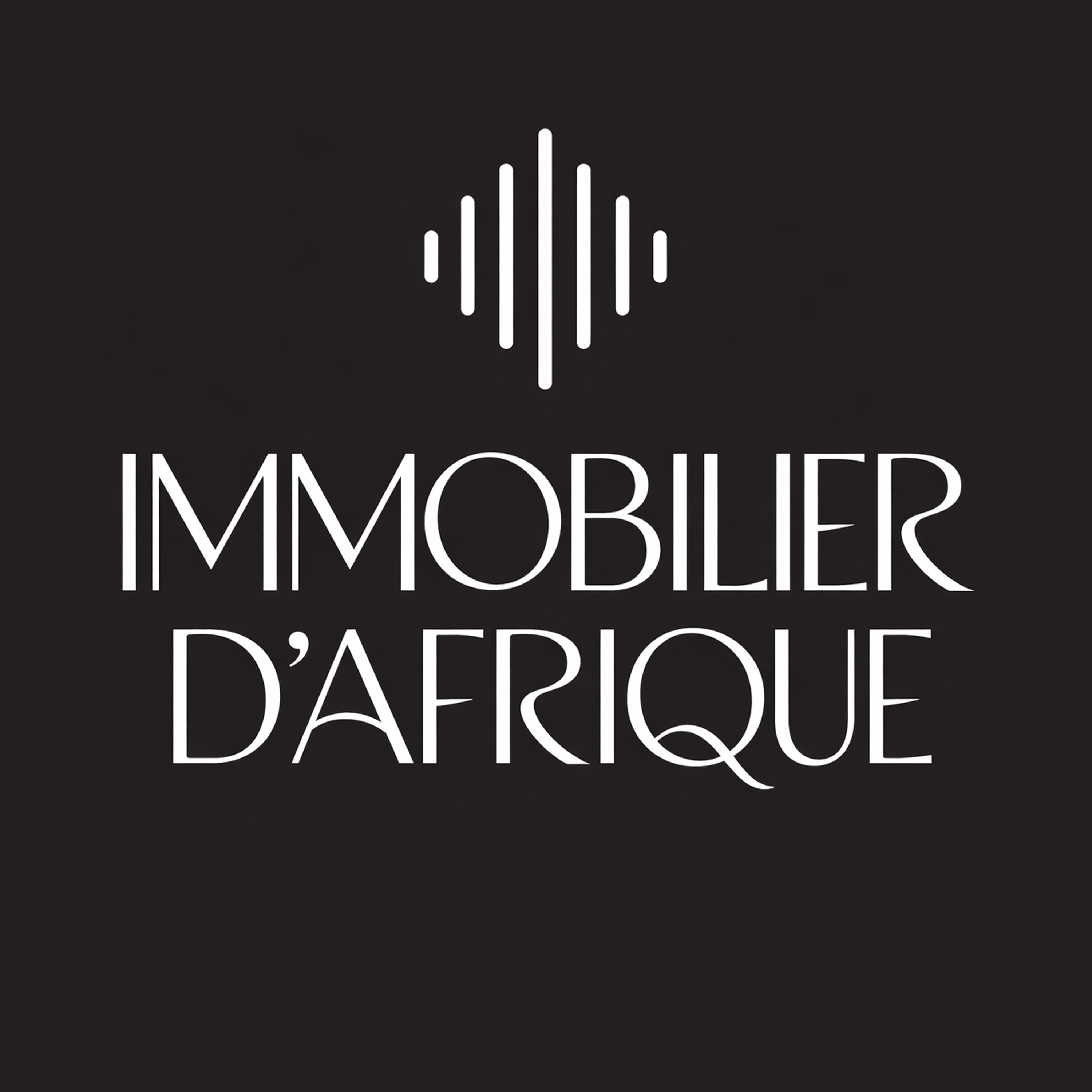 Immobilier d'Afrique cover art