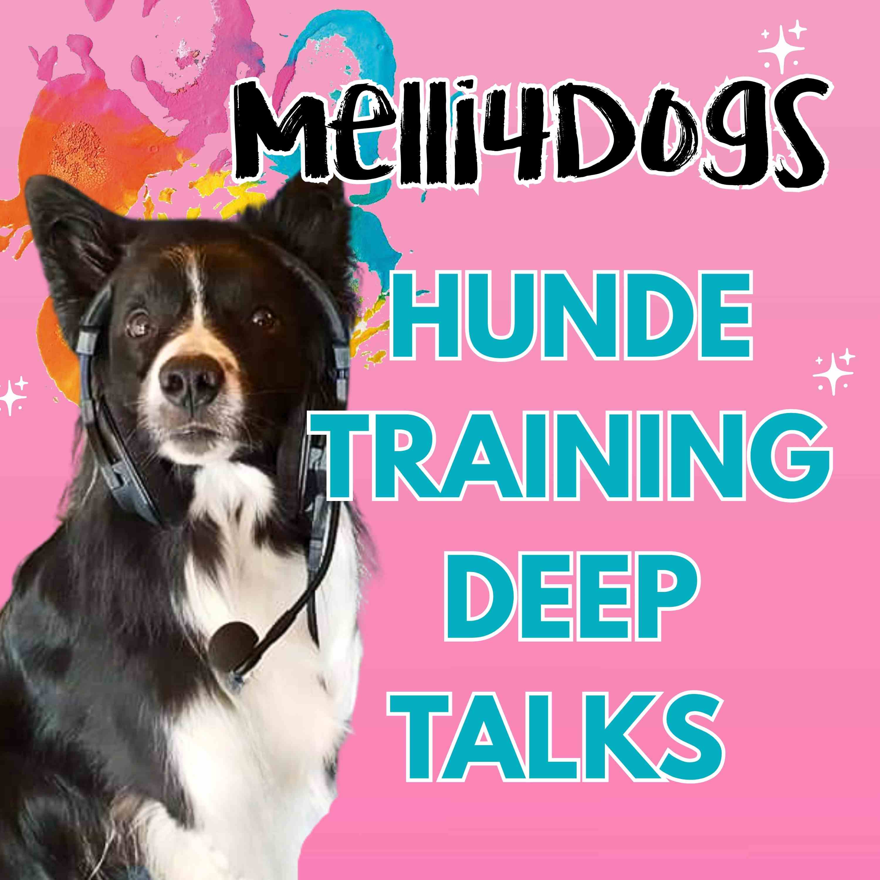 Hundetraining mit Tiefgang – Der Podcast von Melli4Dogs podcast artwork