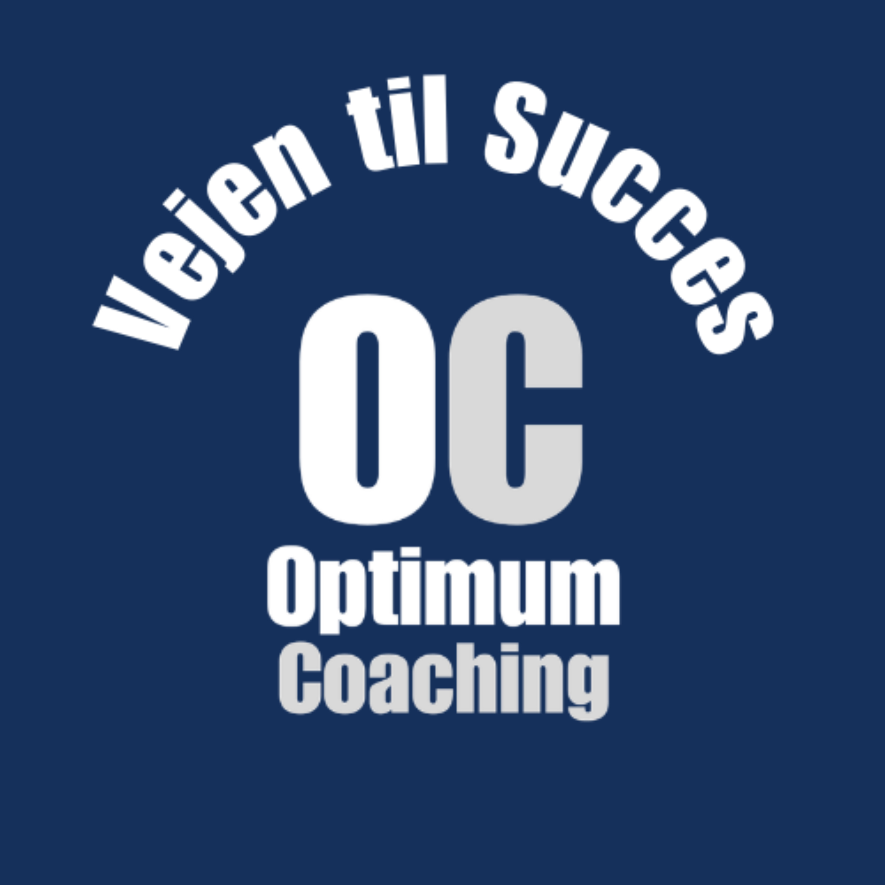 Vejen til Succes cover art