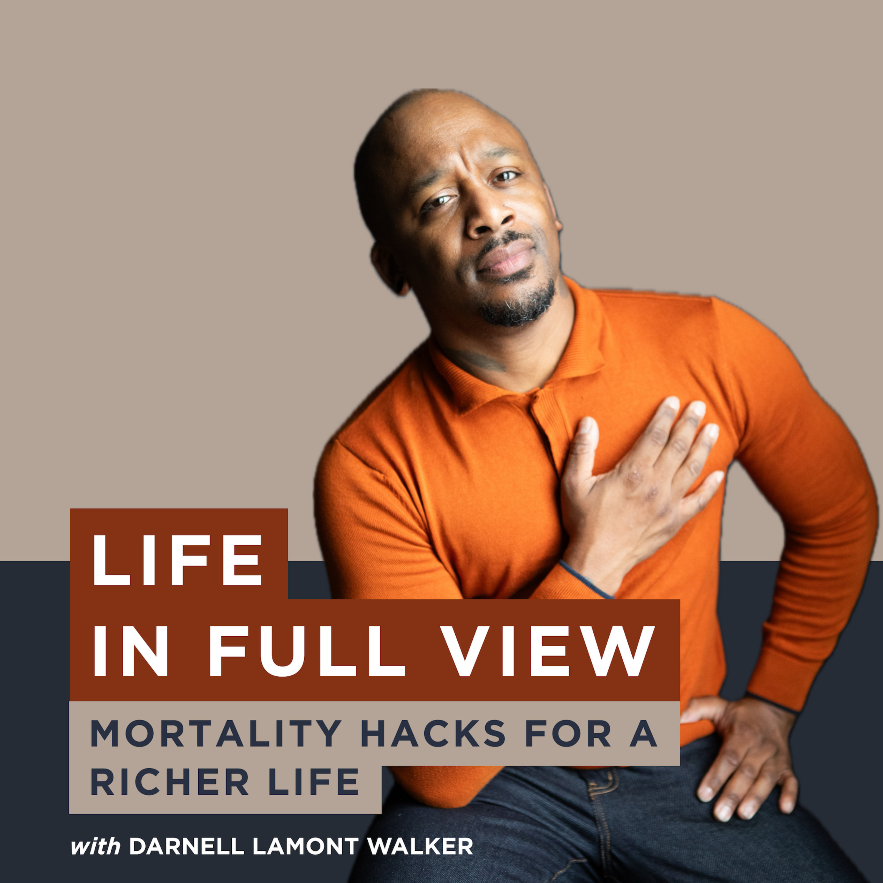 Life In Full View: Mortality Hacks for a Richer Life podcast artwork