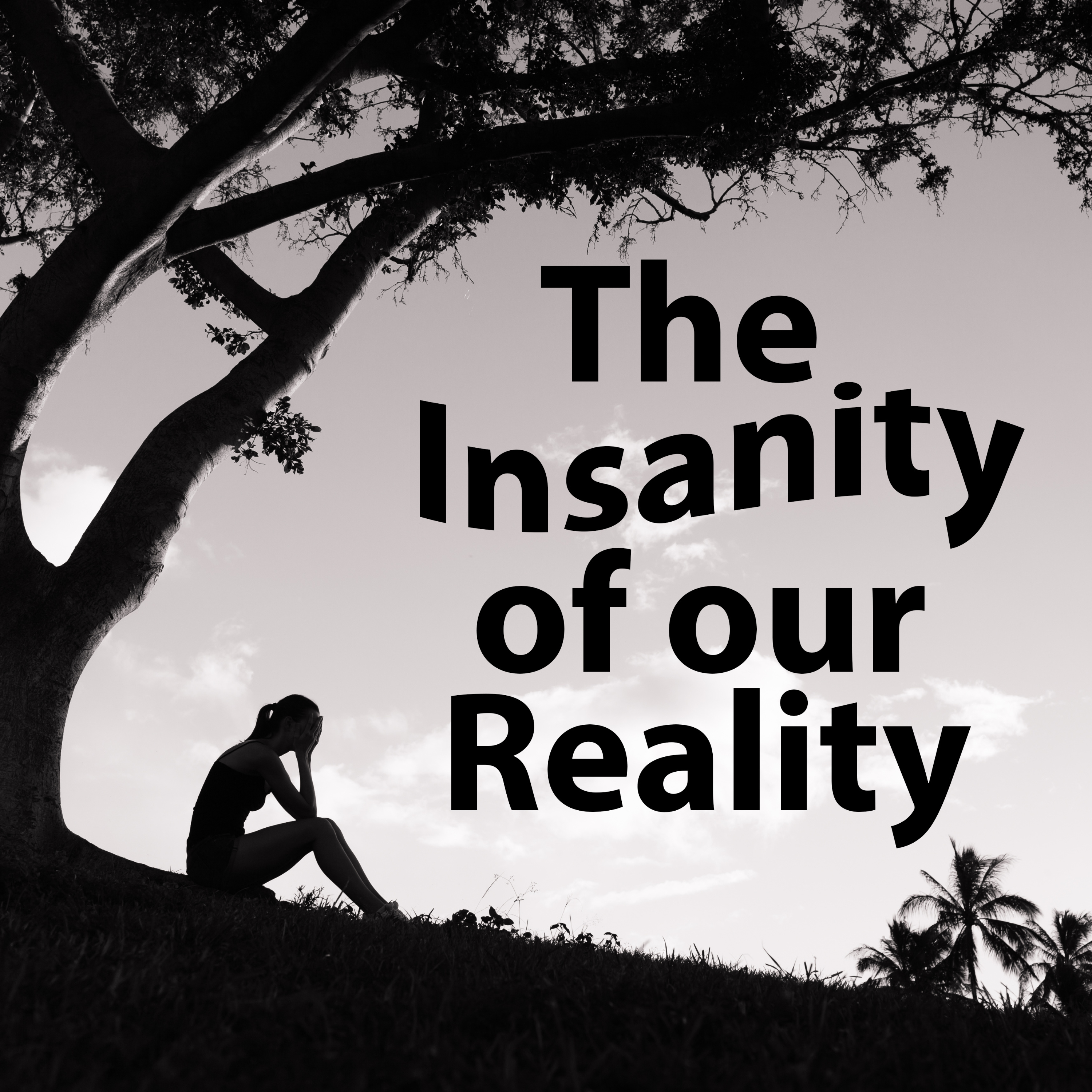 The Insanity of Our Reality