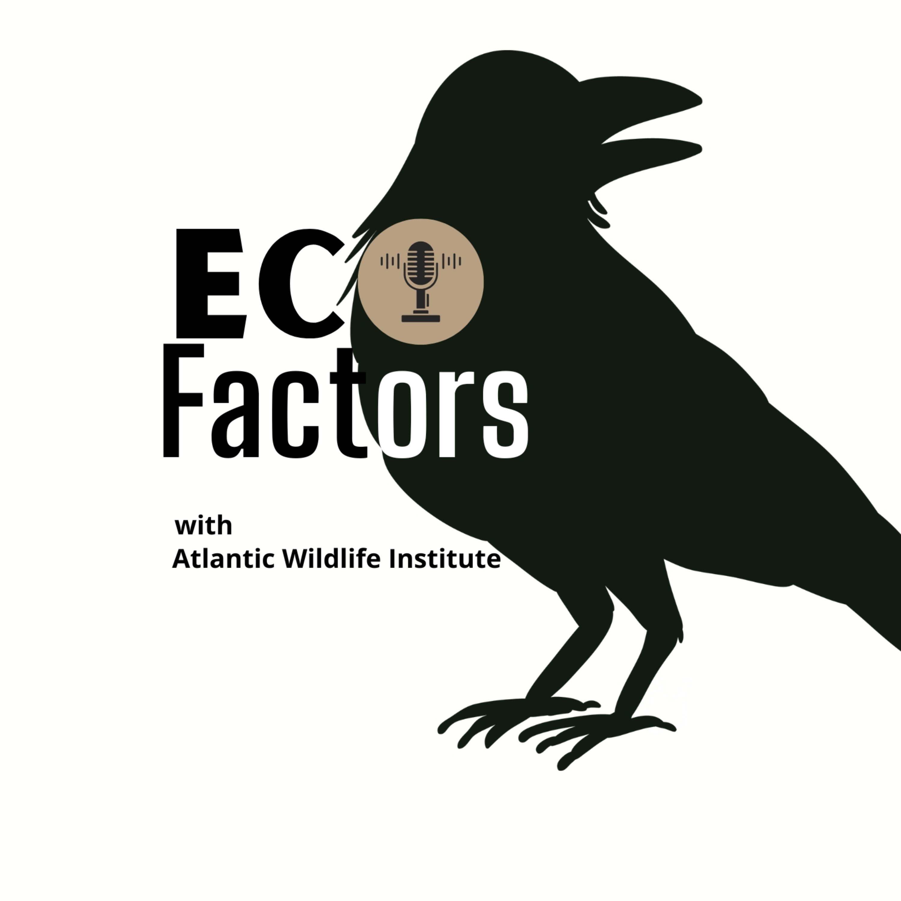 EcoFactors