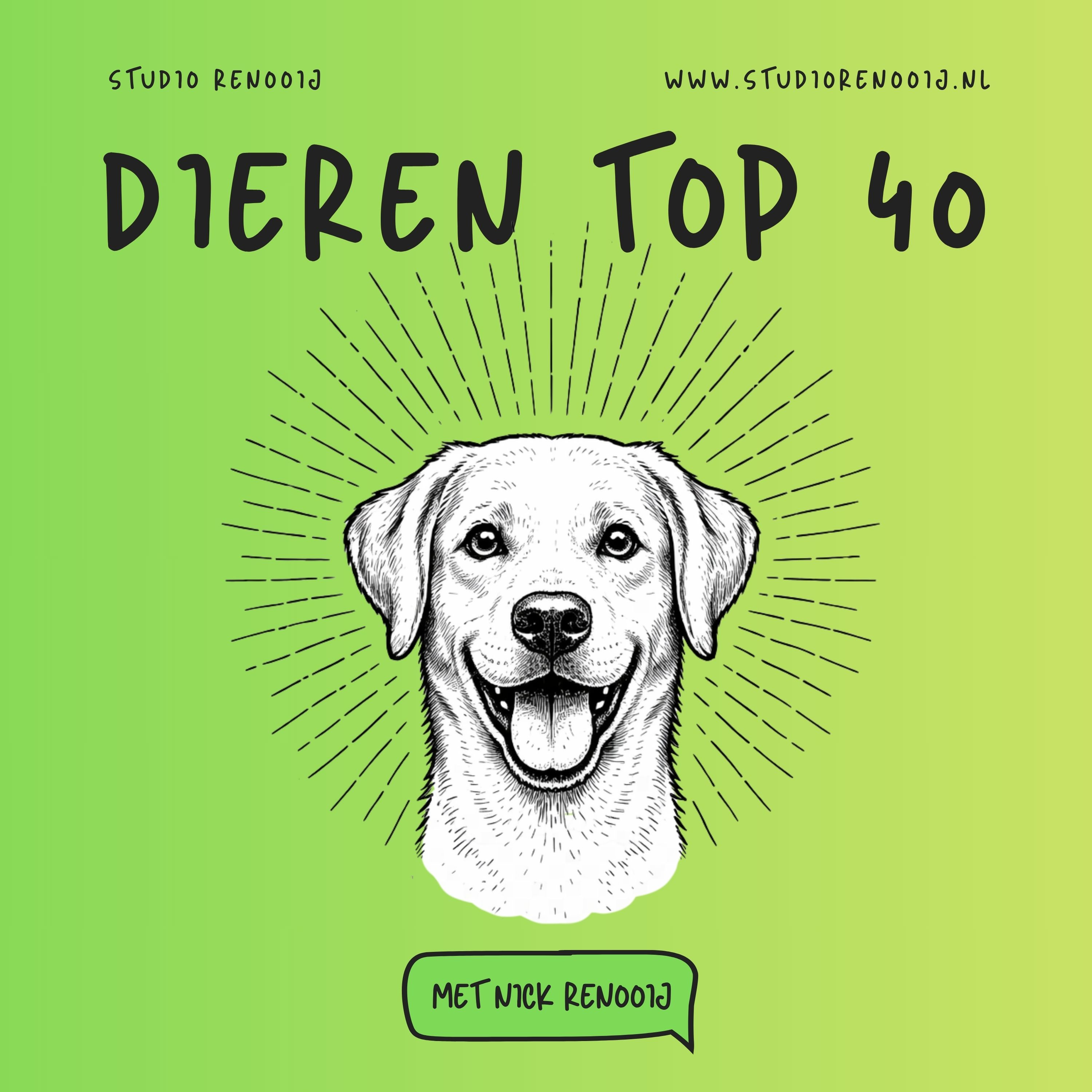 Dieren Top 40