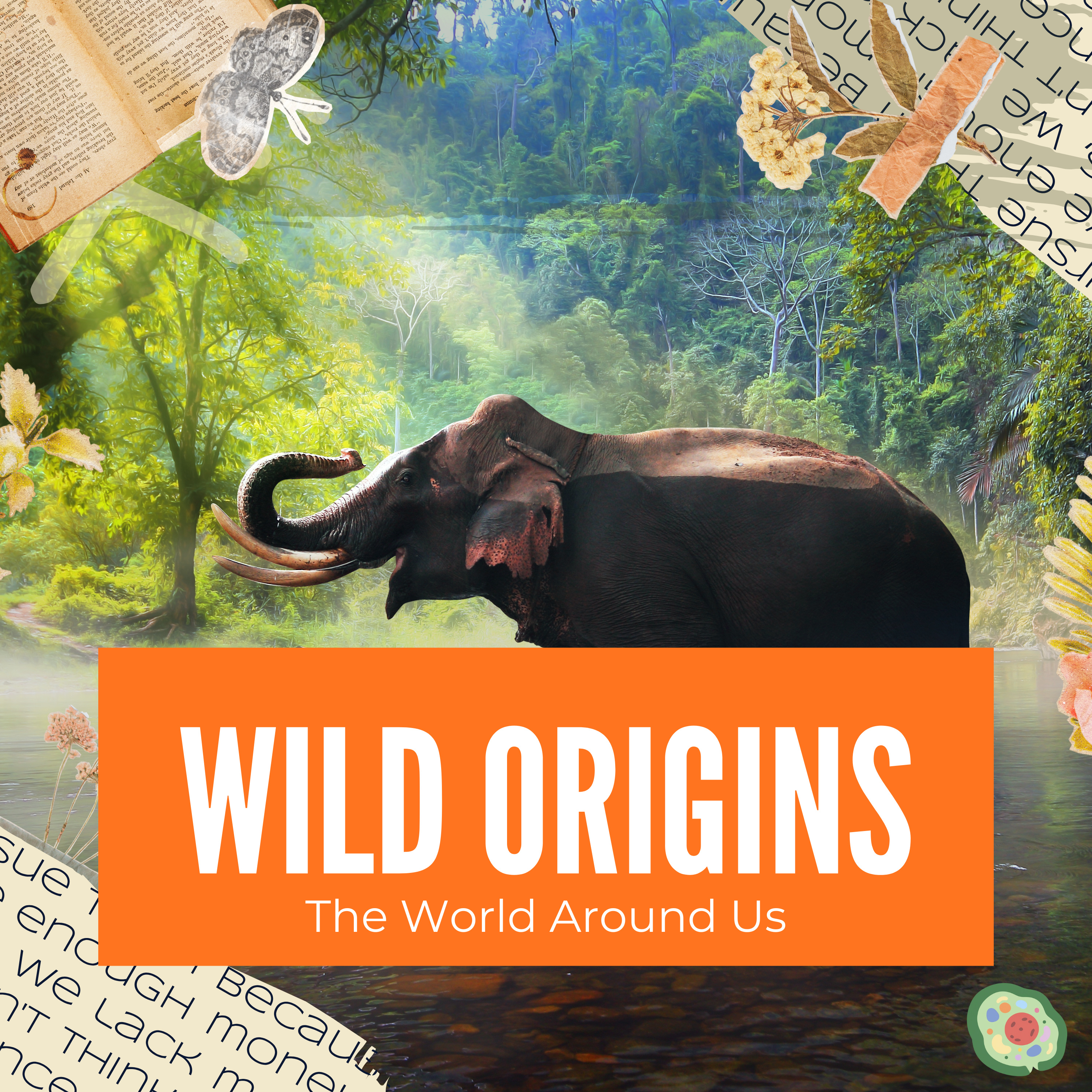 Wild Origins podcast artwork