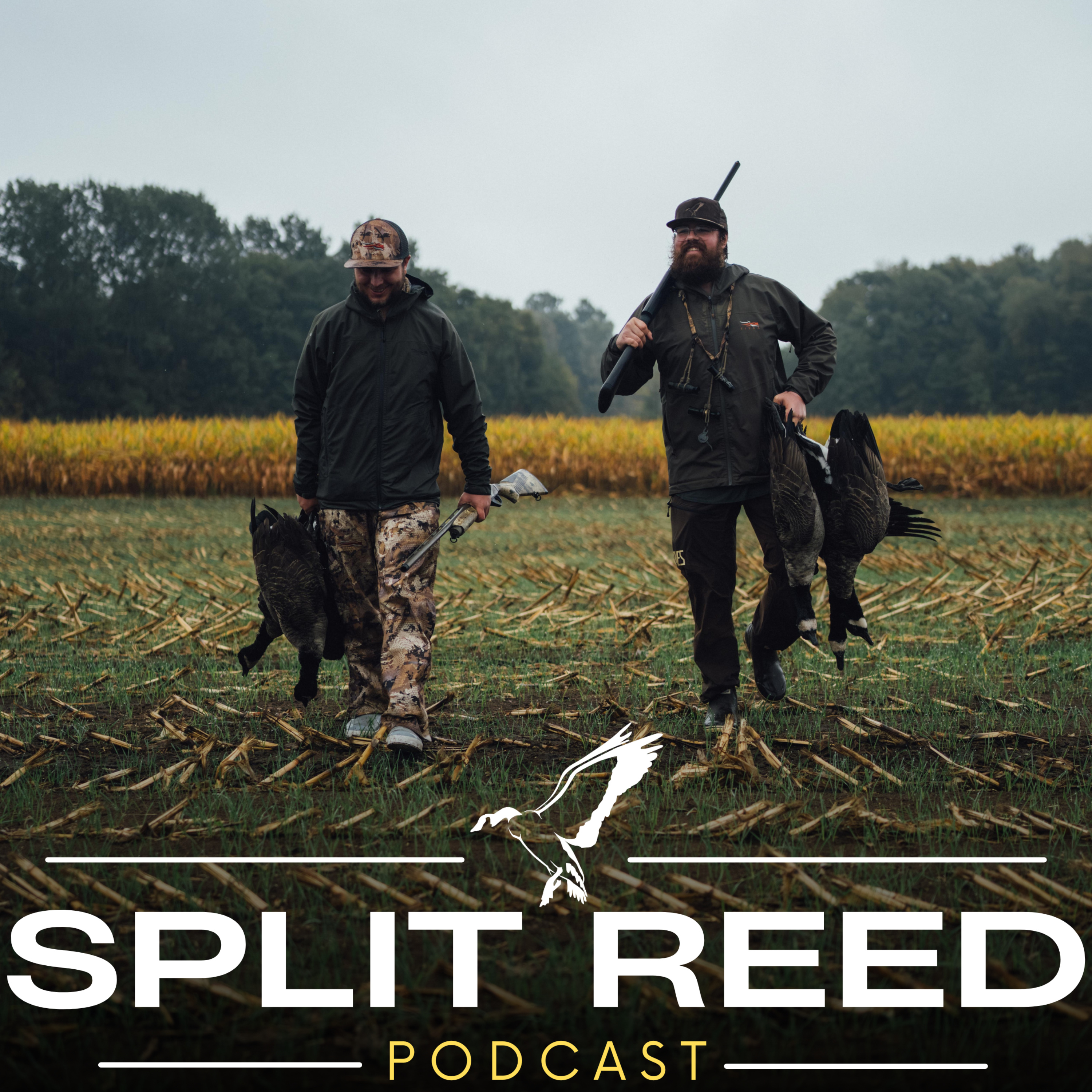 Split Reed Podcast