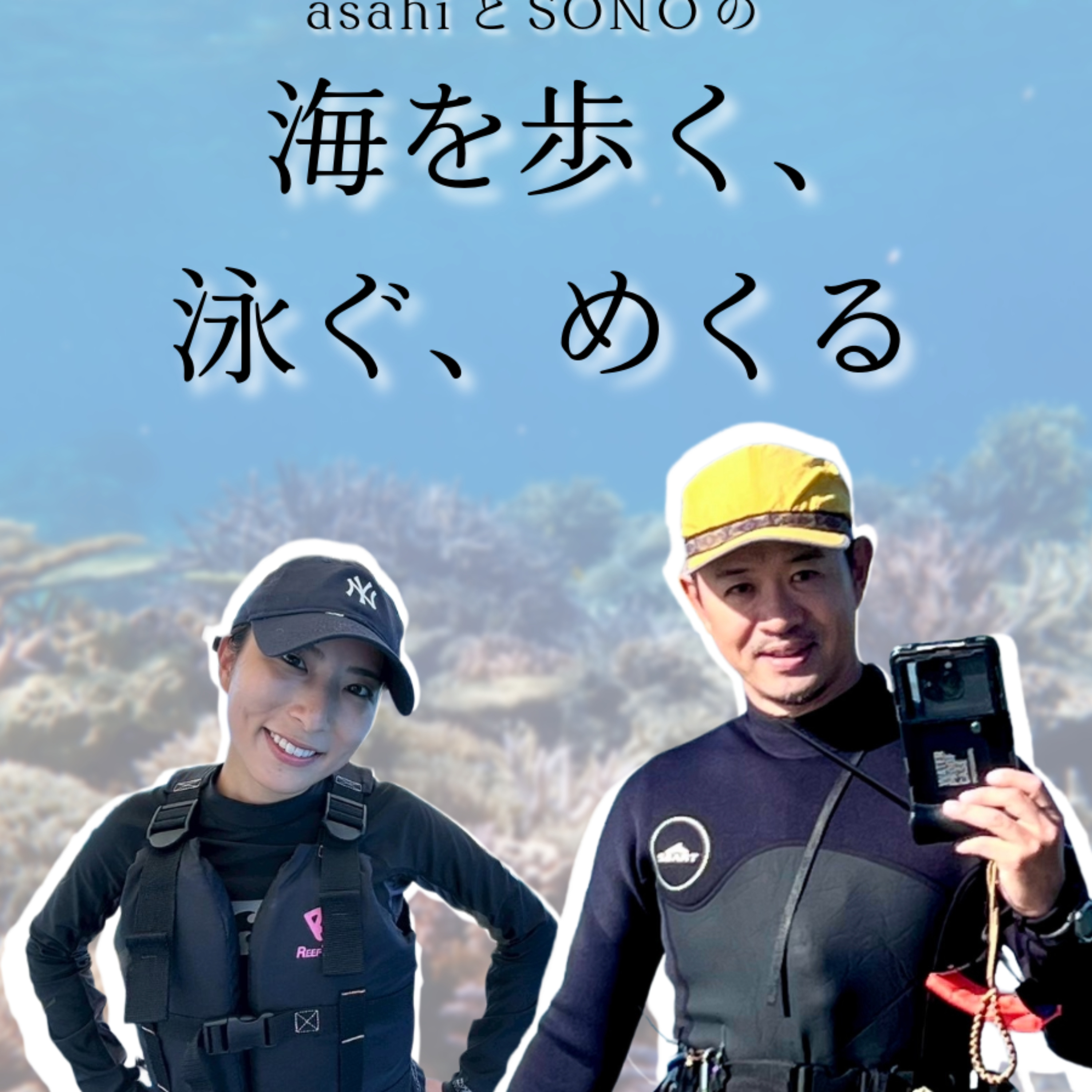 海を歩く、泳ぐ、めくる