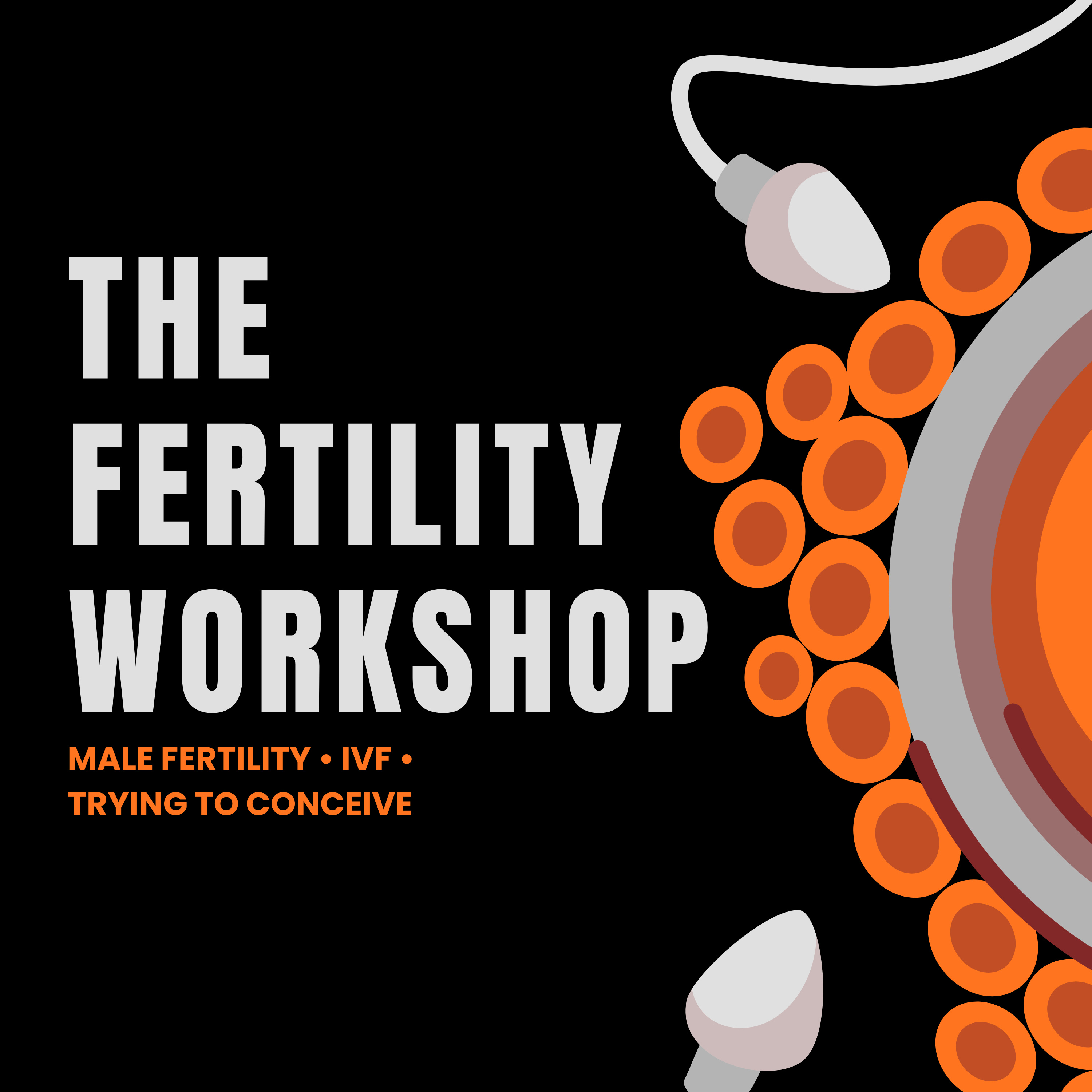 The Fertility Workshop