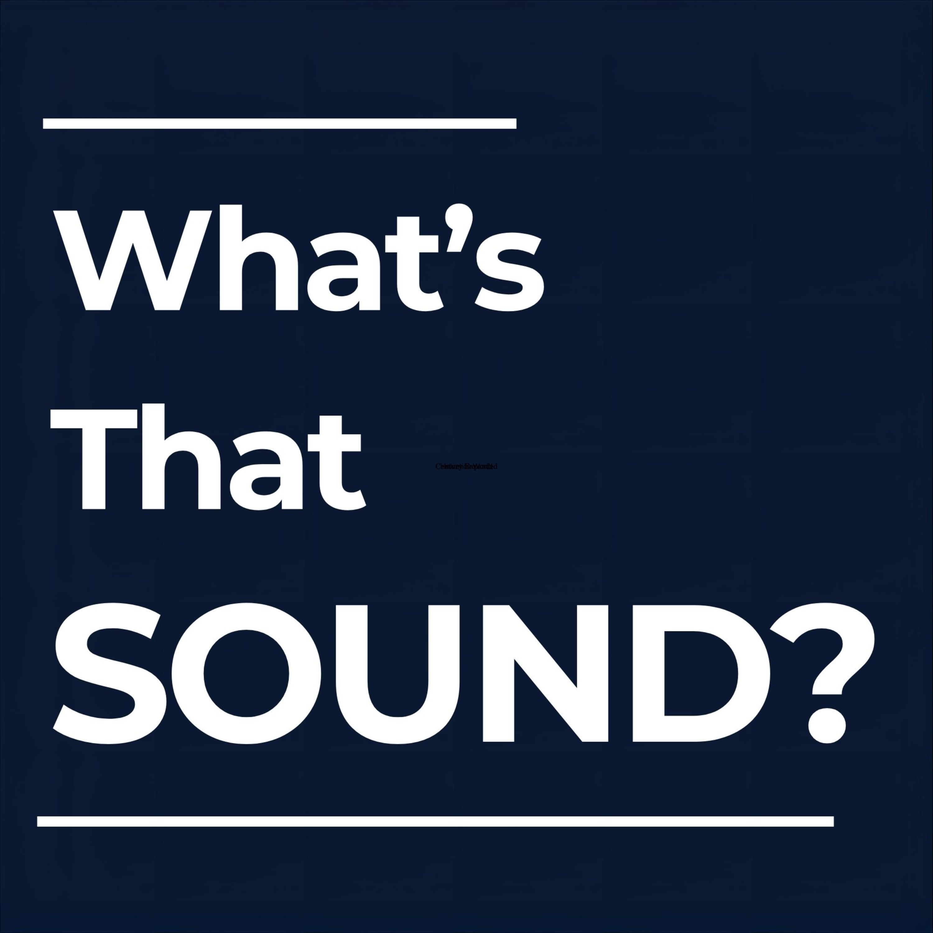 What's That Sound?