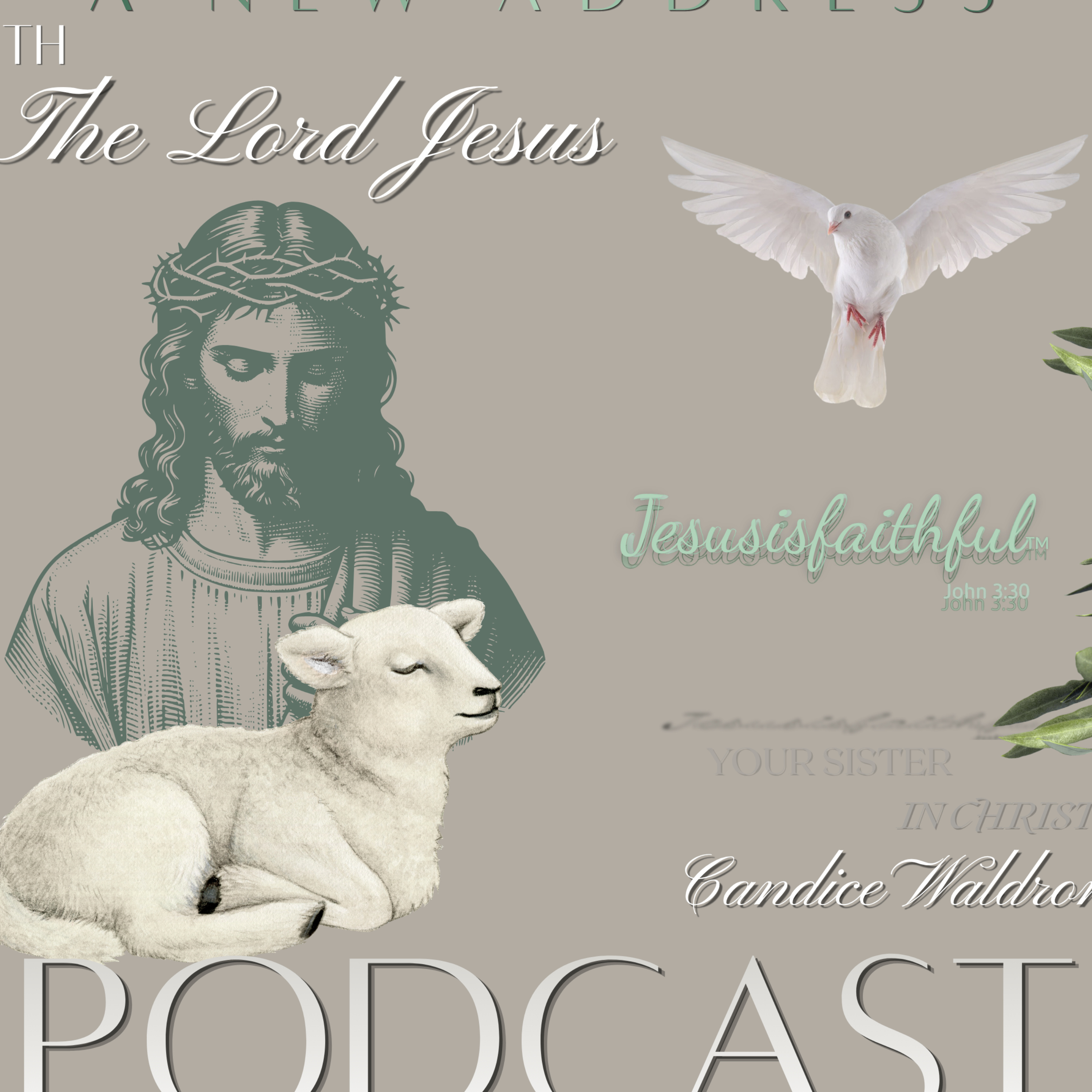 Pursuing the Path of Purity Podcast