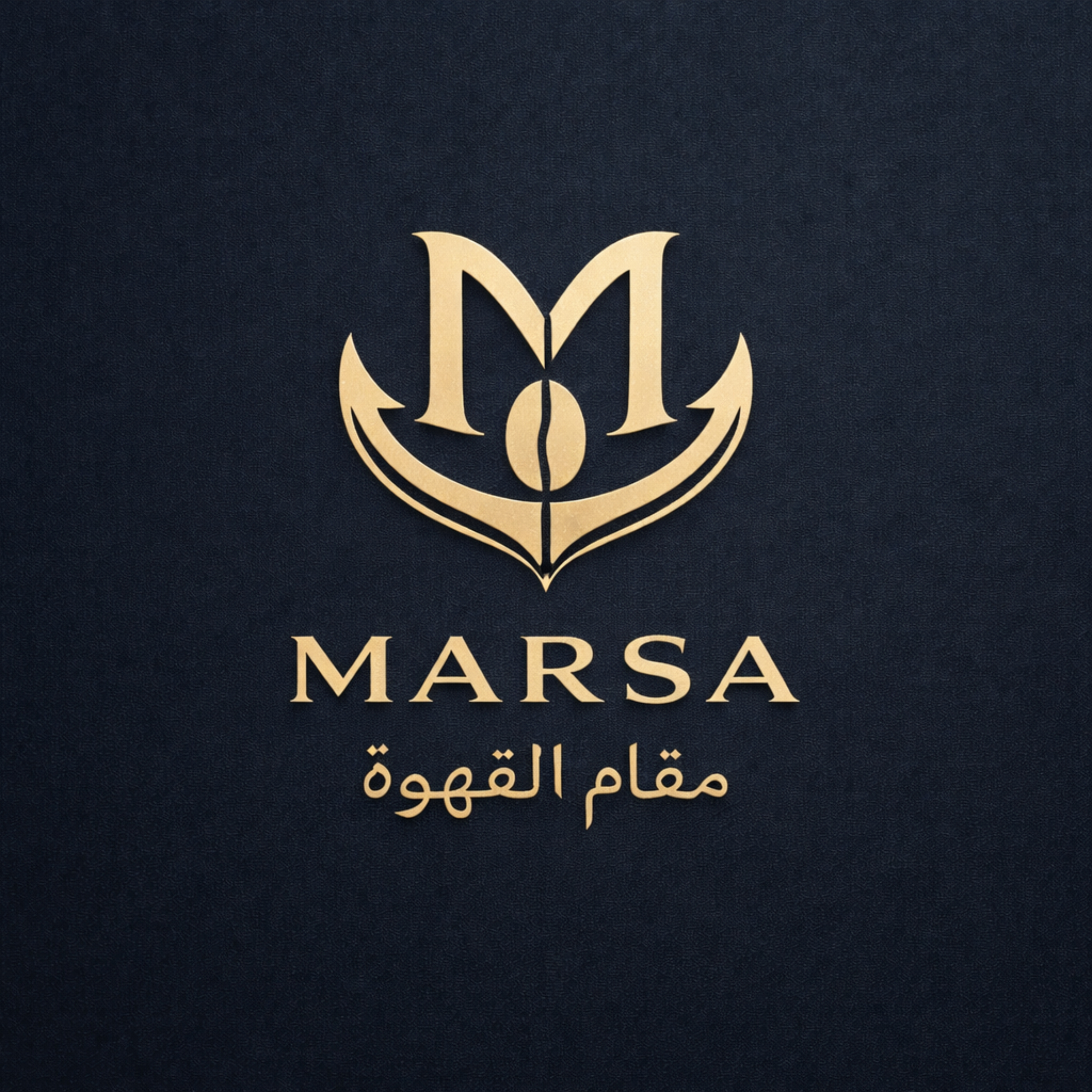تشريح بذرة القهوة