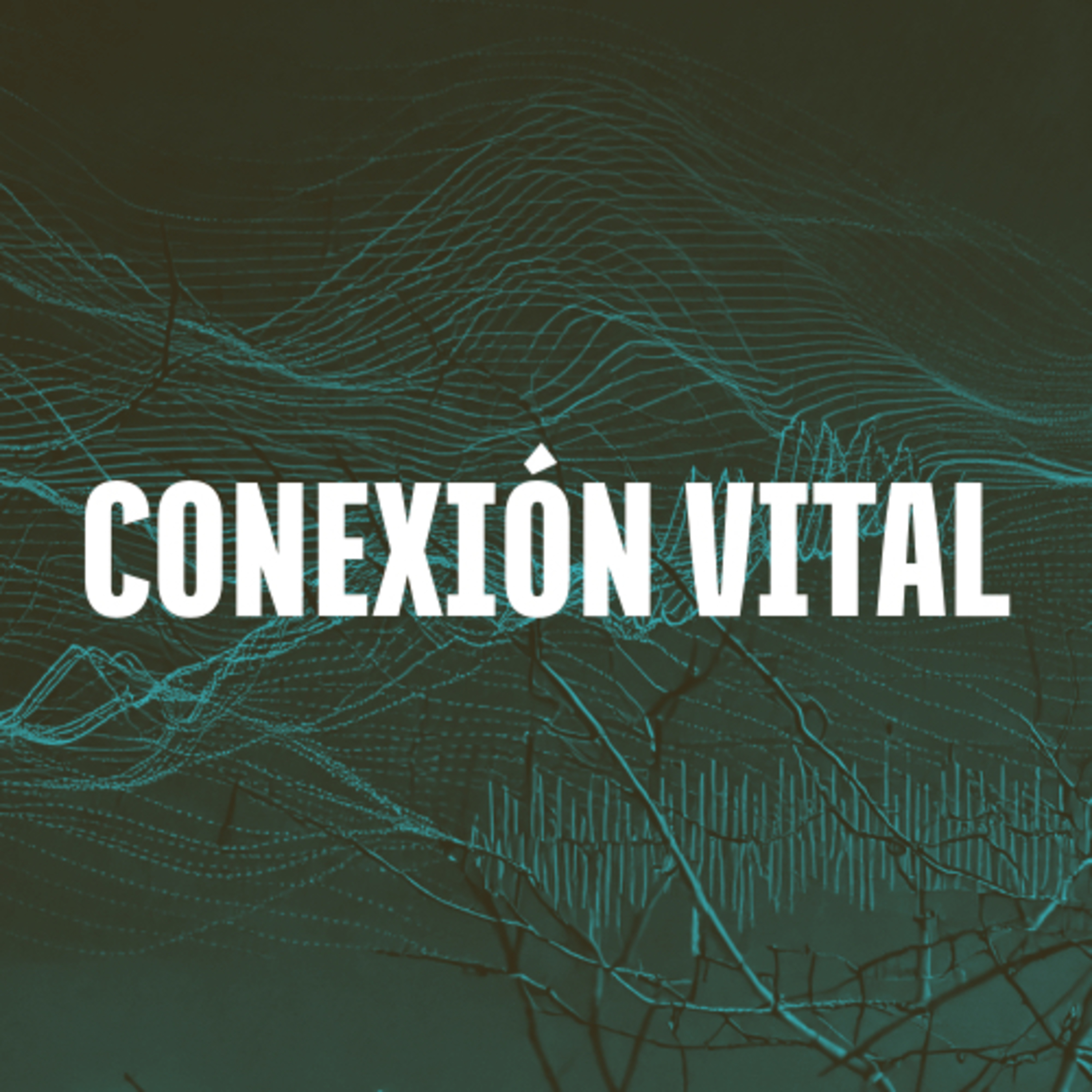 Conexión Vital