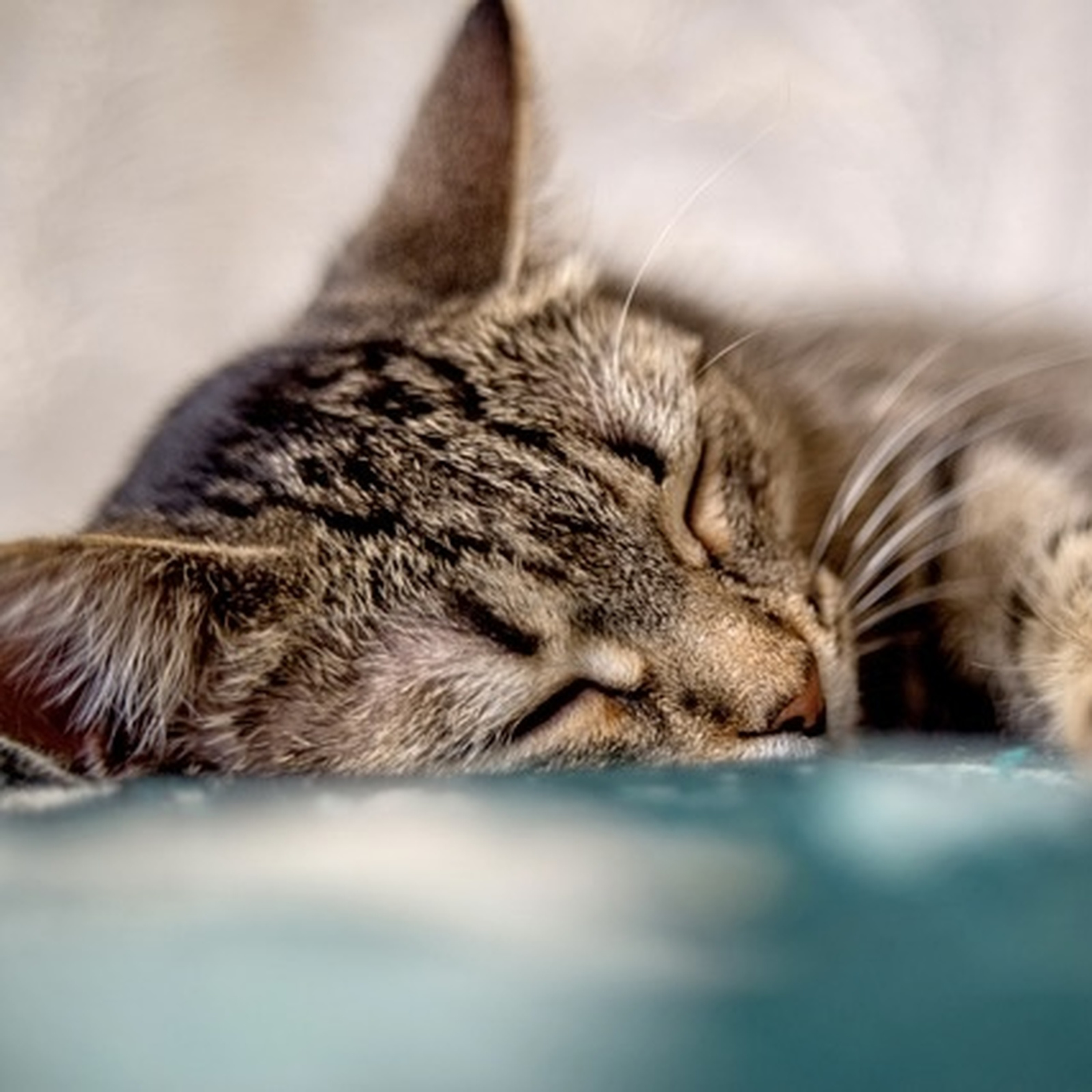 Sleep Whilst You Sleep | Deep Sleep Music & Ambient Soundscapes podcast artwork