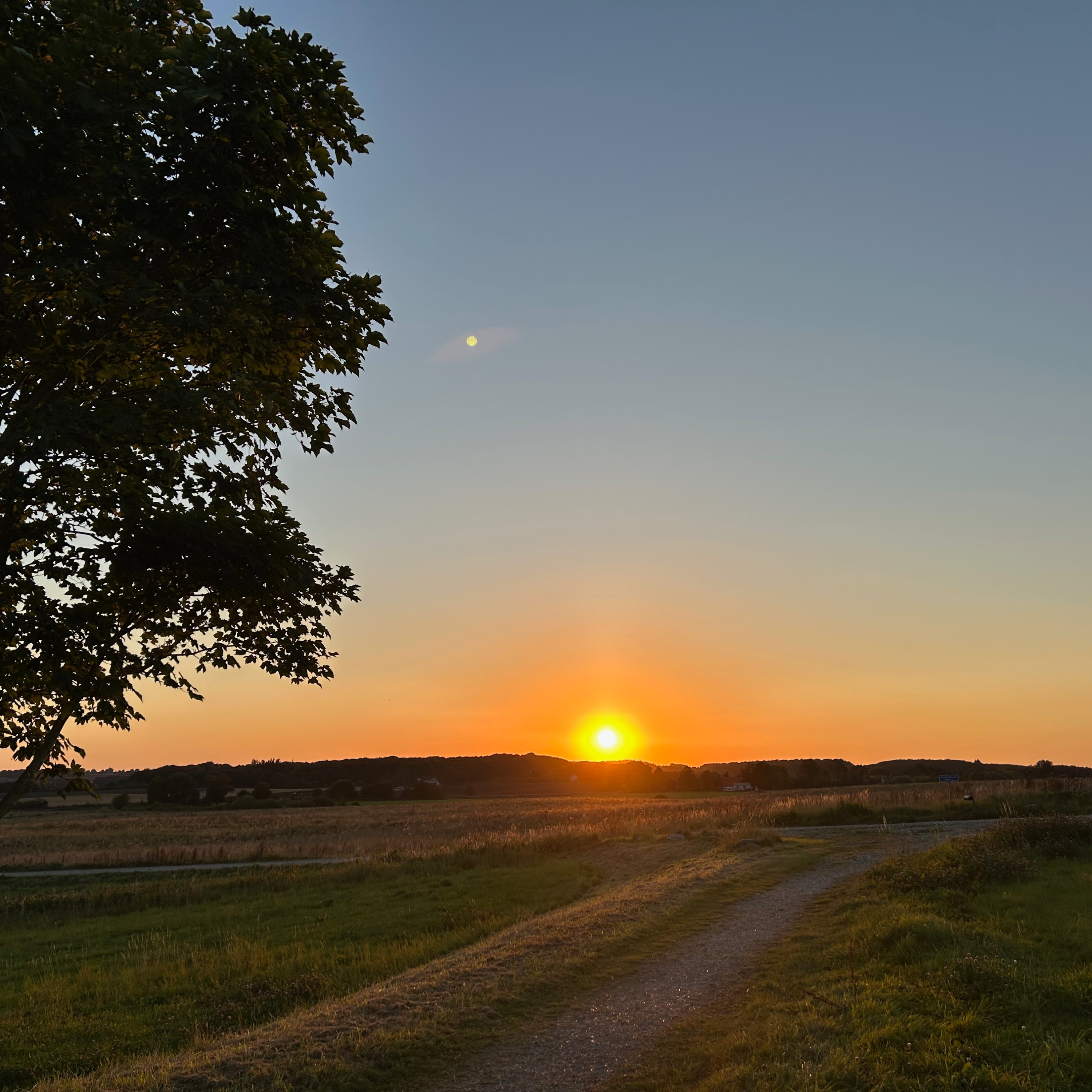 Mentor Sense Podcast - Mental overbelastning og neurodivergens af Heidi - NLP Sense