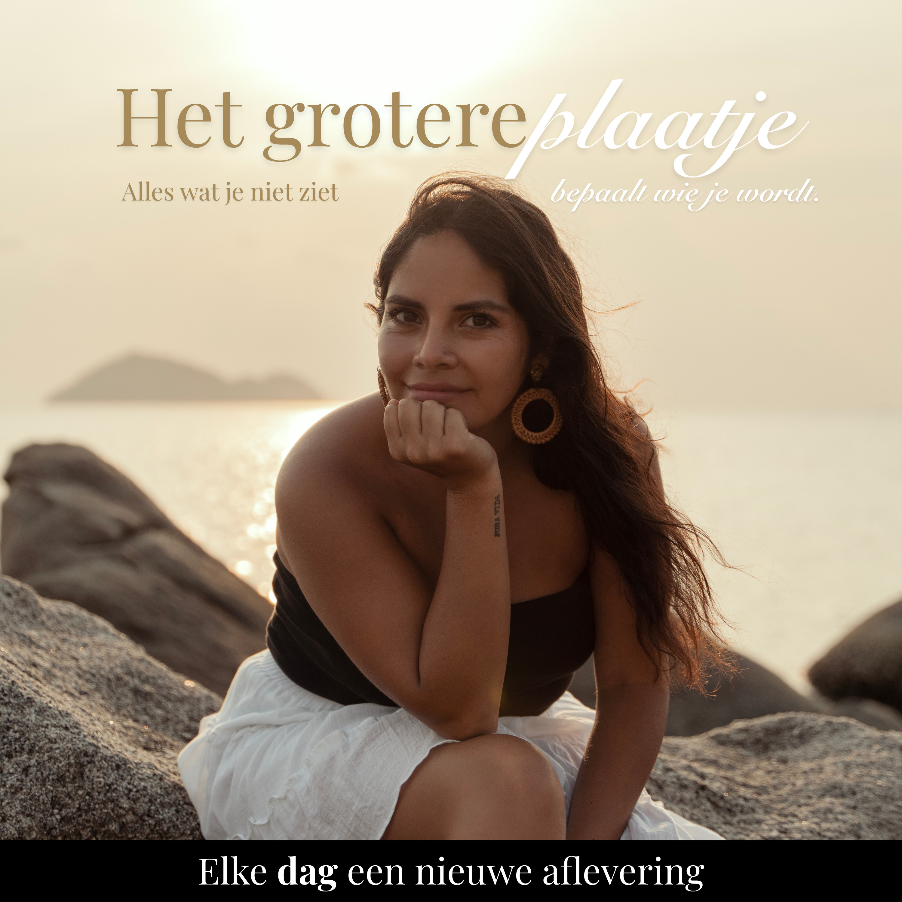 Het Grotere Plaatje podcast artwork