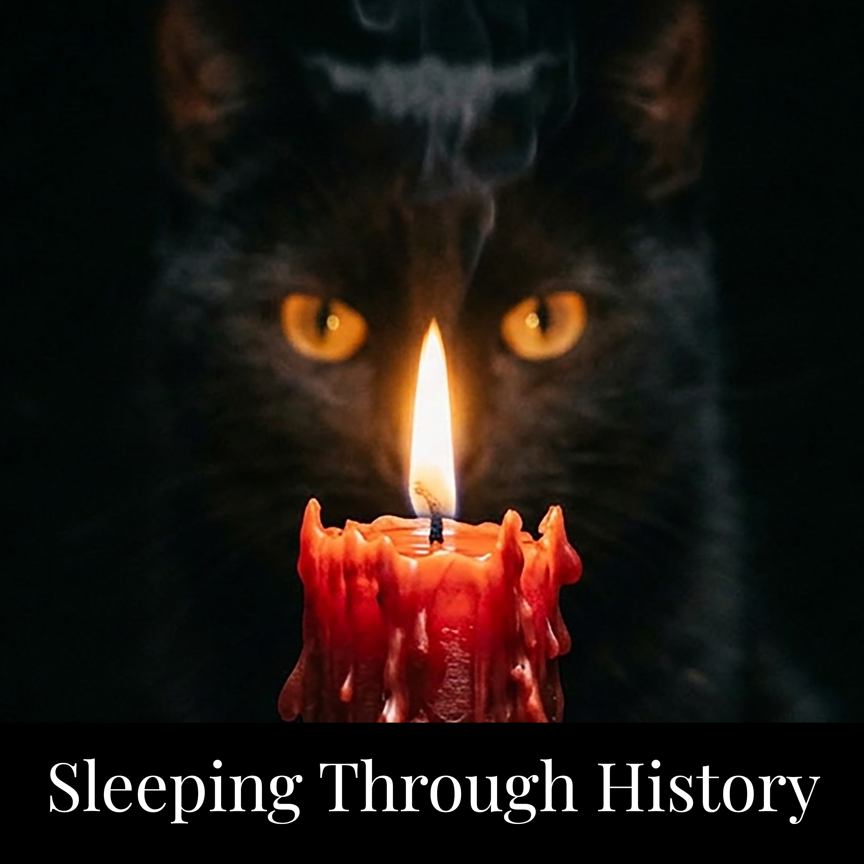 Sleeping Through History