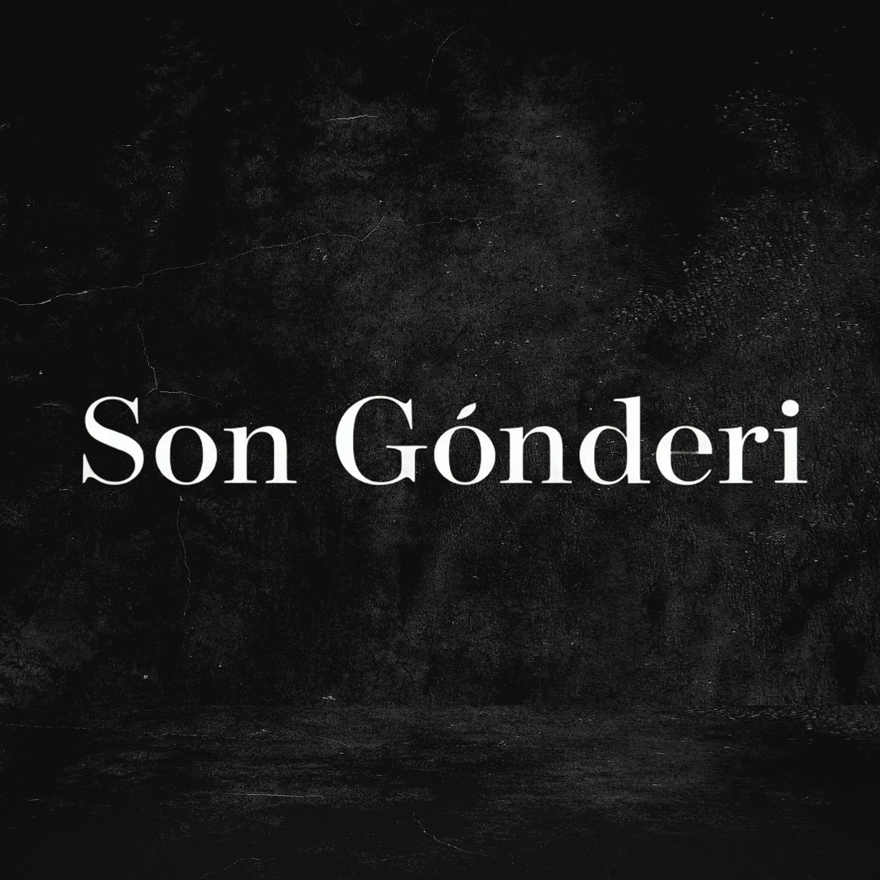 Son Gönderi