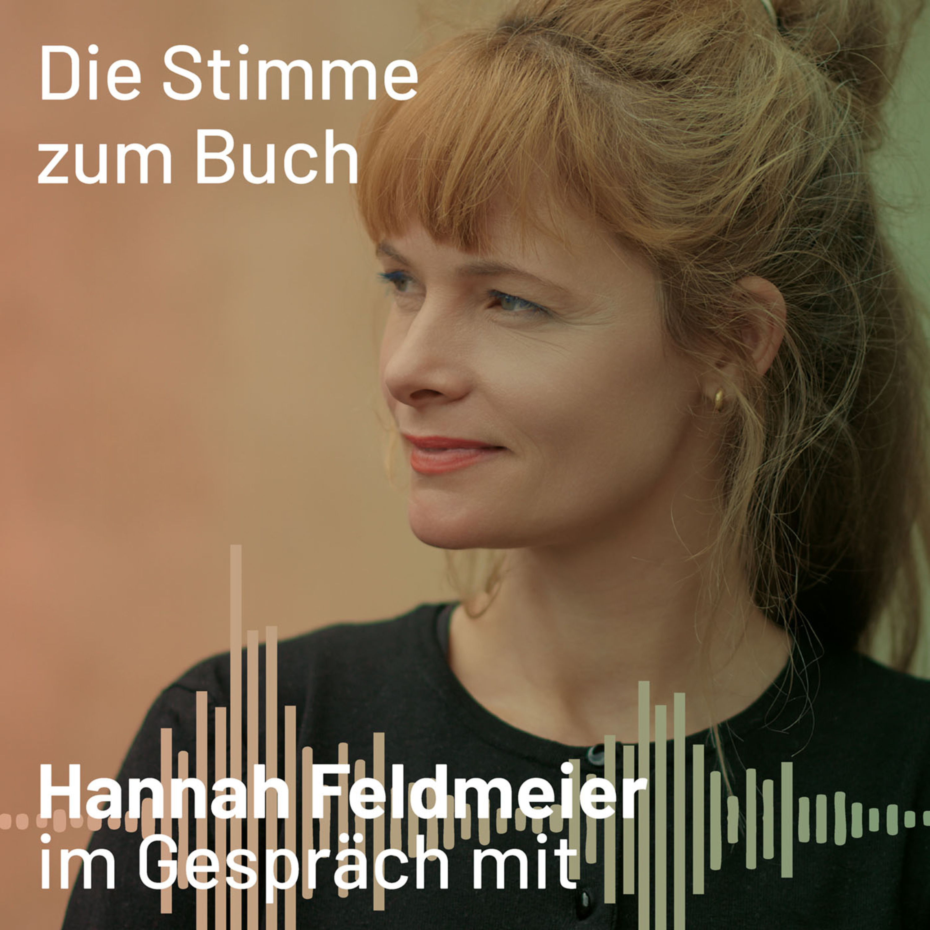 Die Stimme zum Buch